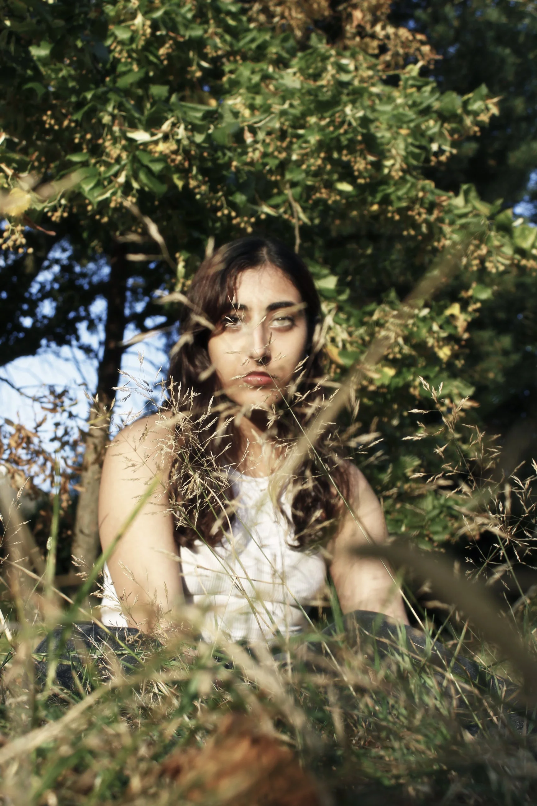 _MG_1093 blurcopy.jpg