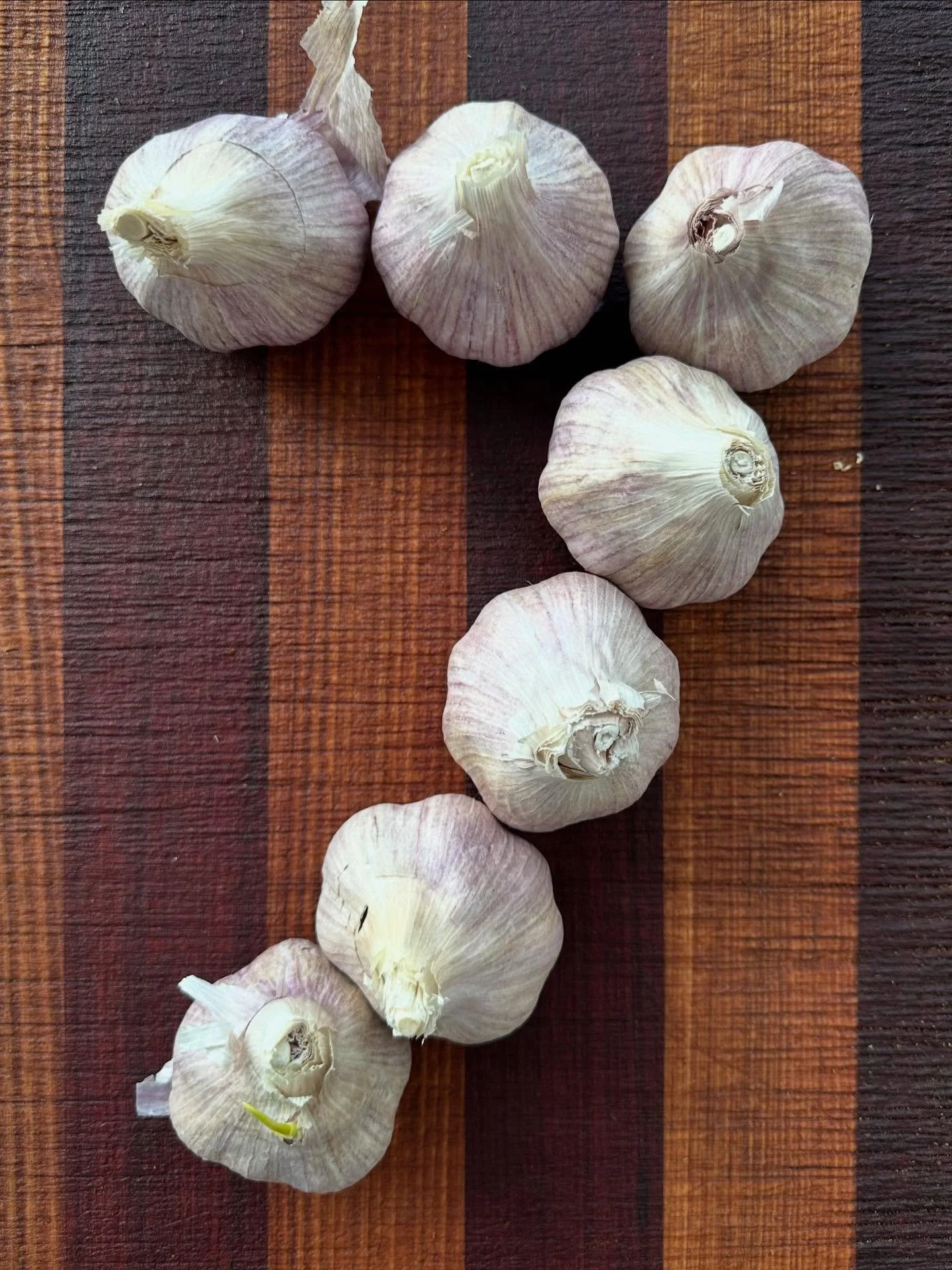 7 years of @herringbone.adl 🎉 
.
.
We ❤️ being a mainstay restaurant of this fantastic city.  A big thanks to all of our customers and staff that have supported us over the years. We are super grateful and humbled that you come out week after week t