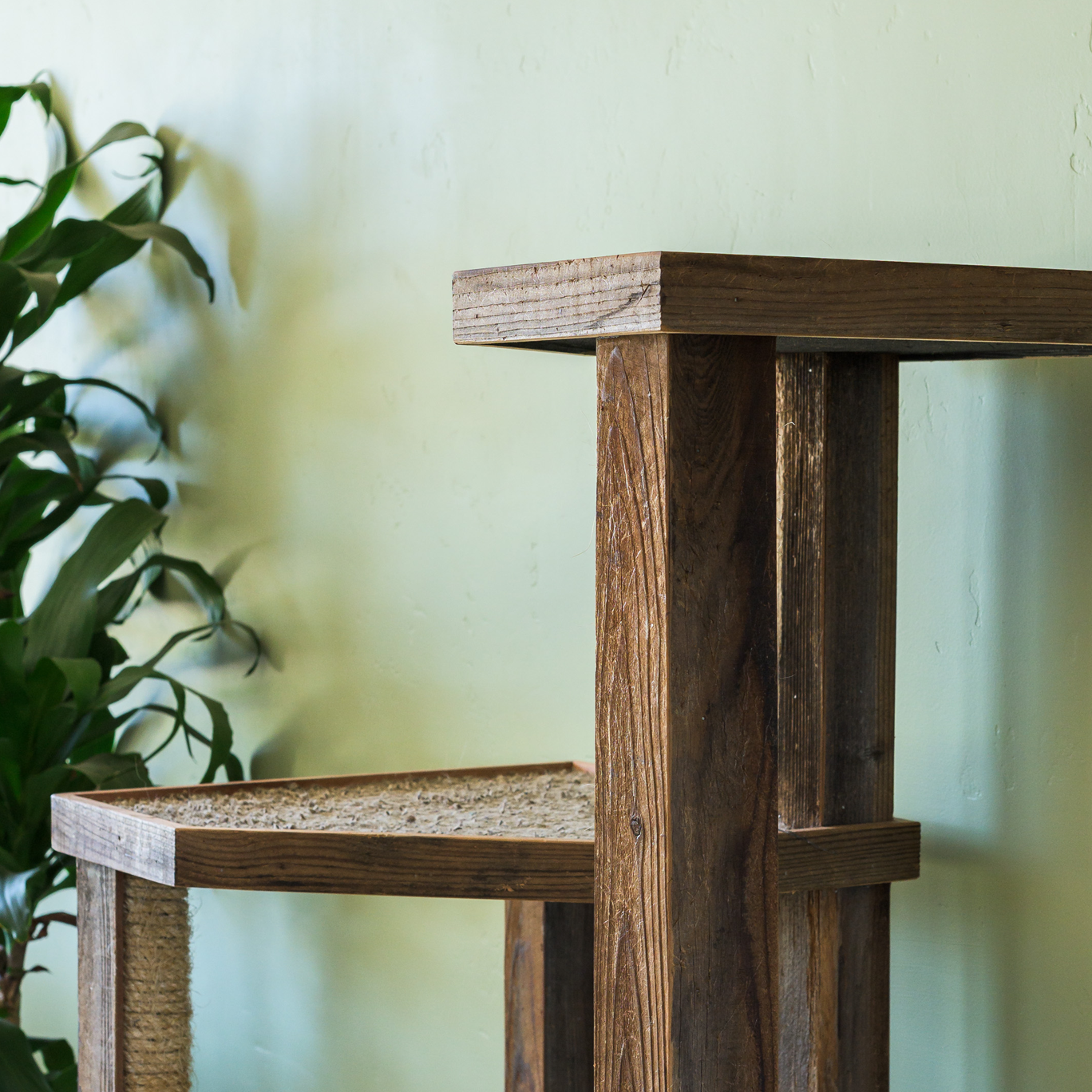Detail_CatTree.png