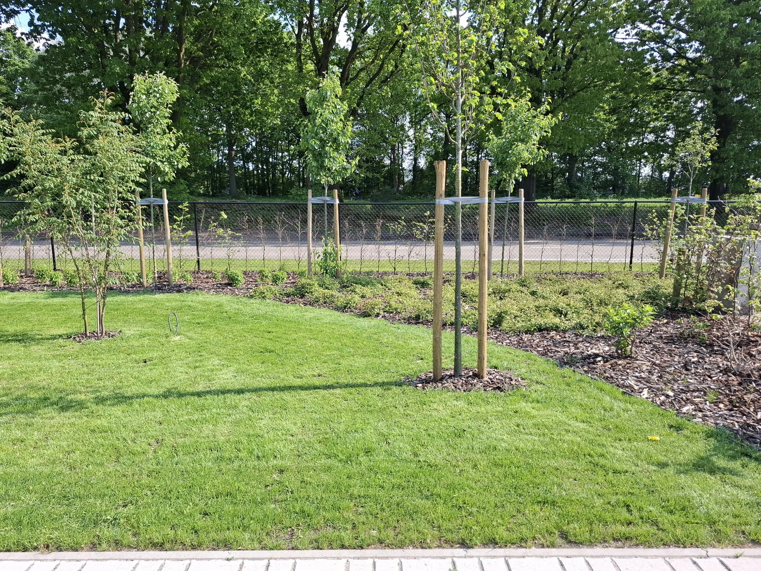 20260509_170454 kopie.jpg