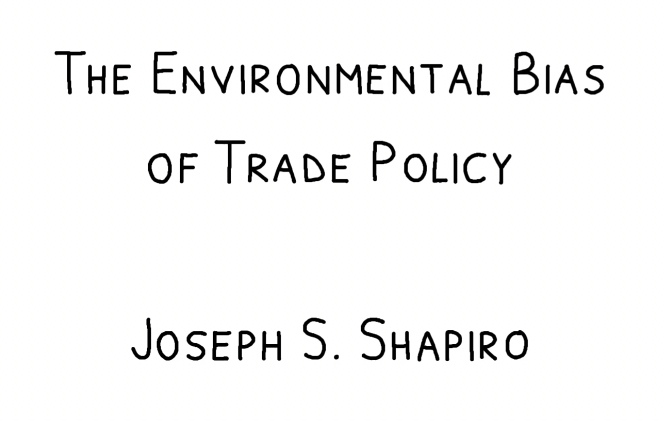 How Trade Policy Advantages EMISSION Intensive Industries   