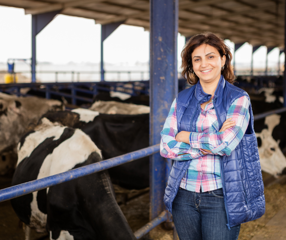 A woman smiling with arms crossed standing in a barn with cows in the background.