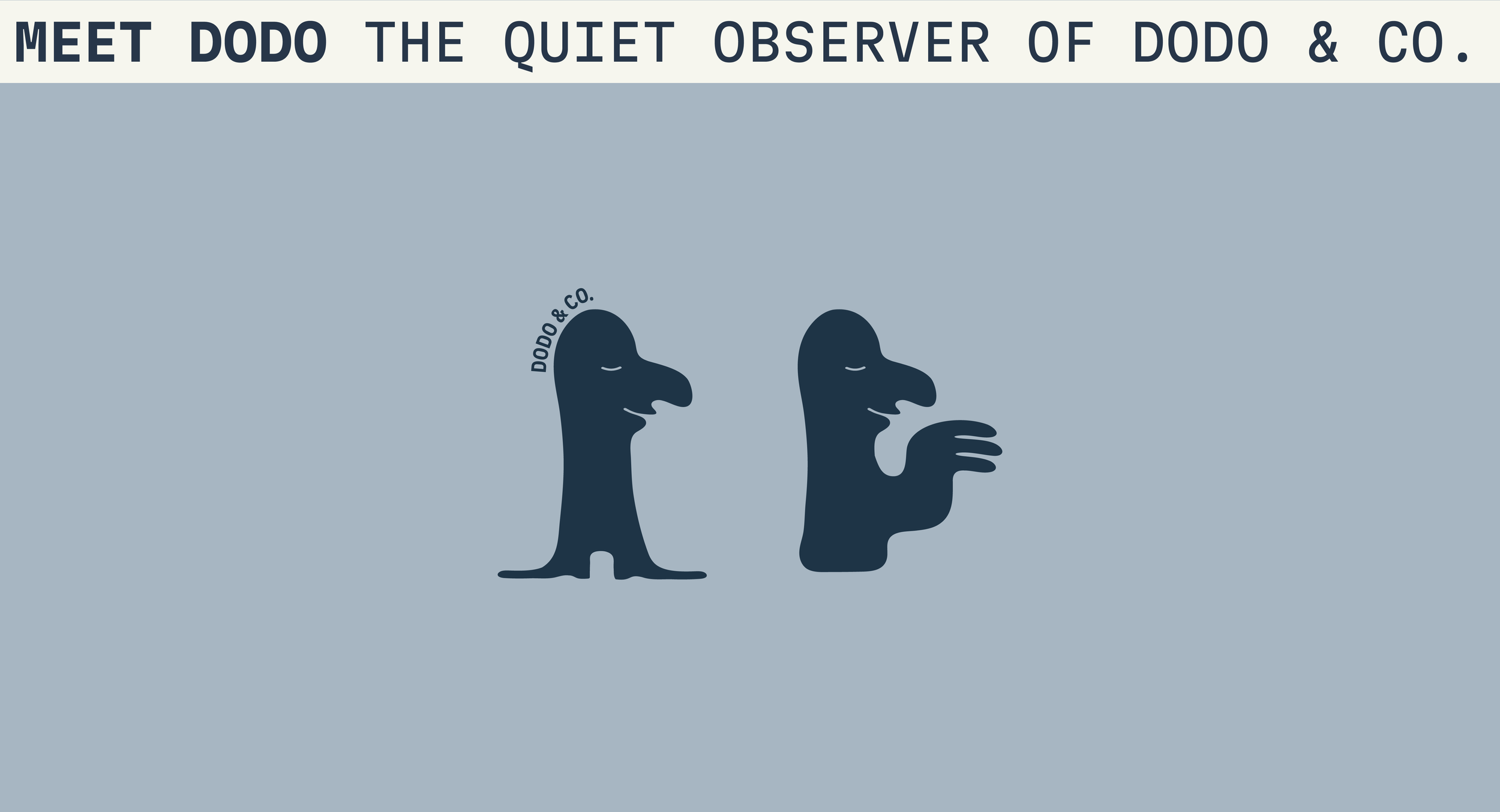 Dodo_And_Co_Behance_3.png