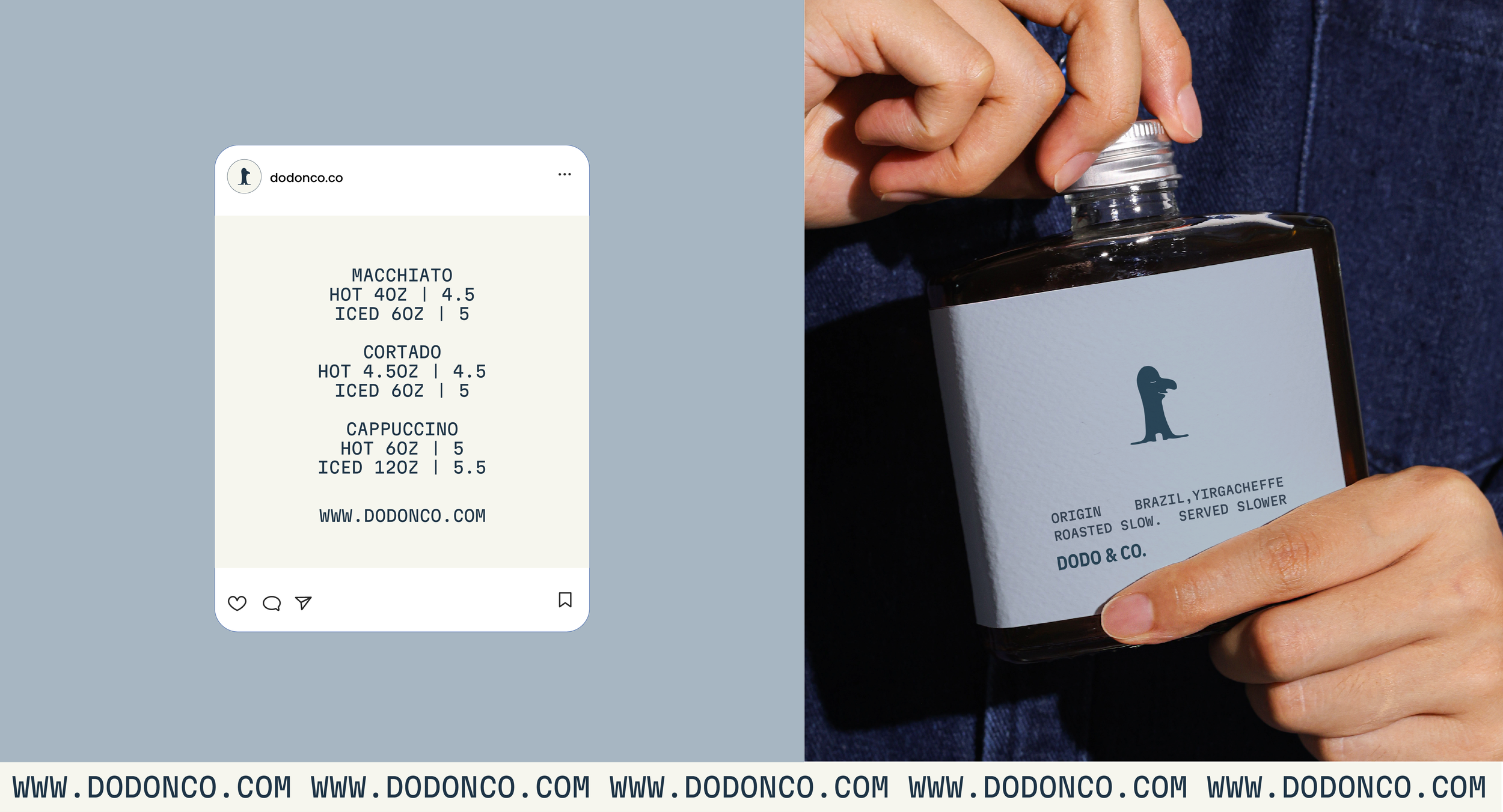 Dodo_And_Co_Behance_12.png