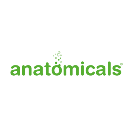 Anatomicals Social Media Strategy