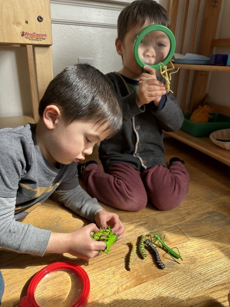 Global Friends Language School