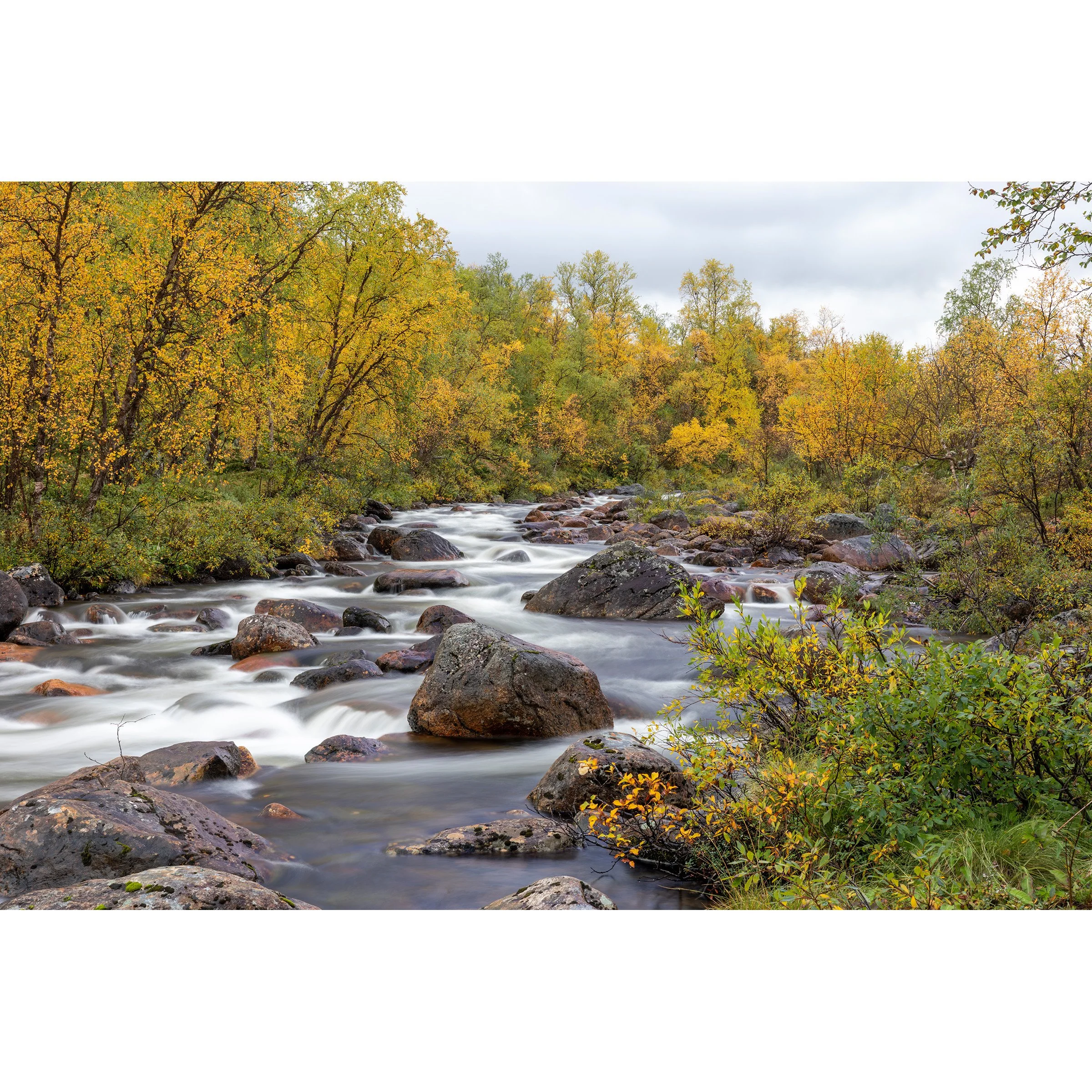 Autumn Day On The River