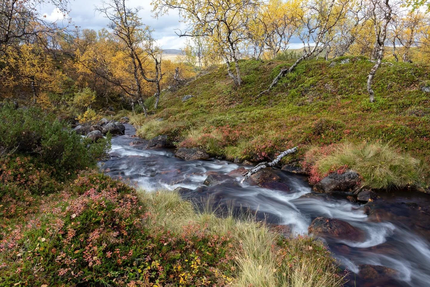 Ruska oli t&auml;n&auml; syksyn&auml; lienee hieman my&ouml;h&auml;ss&auml; pohjoisessa. Syksyn v&auml;rej&auml; kuitenkin n&auml;kyi p&auml;iv&auml; p&auml;iv&auml;lt&auml; enemm&auml;n.
Autumn colors and fresh creek.

Canon EOS R5MkII, RF28-70mm F2