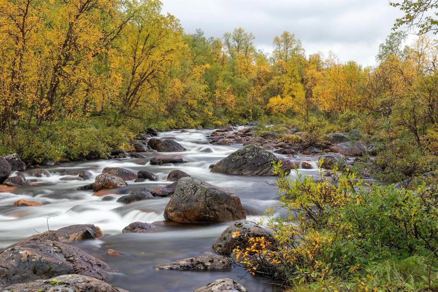 Lapin ruskaa saatiin t&auml;n&auml; syksyn&auml; odottaa normaalia pidemp&auml;&auml;n. Tenon sivujoet koivikkoineen tarjosivat kuitenkin paikka paikoin jo v&auml;rikk&auml;it&auml; n&auml;kymi&auml;.
Autumn colors were late this year in the Finnish 