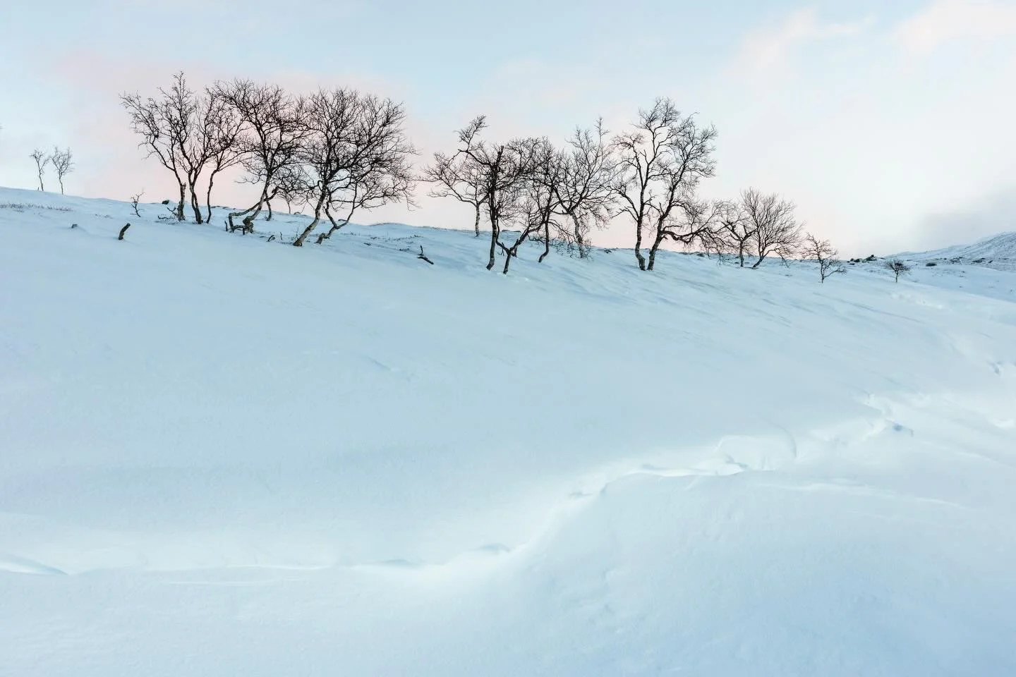 N&auml;it&auml; Lapin talven hentoja v&auml;rej&auml; on ollut jo ik&auml;v&auml;. T&auml;m&auml; hetki on tallennettu noin vuosi sitten vain pari p&auml;iv&auml;&auml; ennen kaamoksen alkua.
I&rsquo;ve been missing these weak colors of Lapland winte