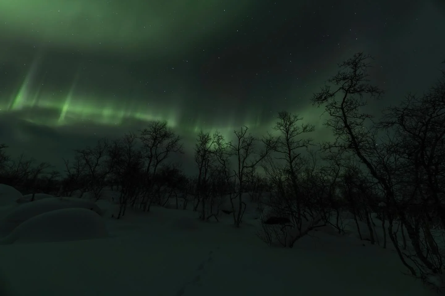 Rauhallista ja valoisaa joulua kaikille!
Peaceful and Merry Christmas for everyone!

Canon EOS R5 Mk II, RF15-35 F2.8
ISO4000, F2.8, 1s, 15mm

#hyv&auml;&auml;joulua 
#merrychristmaseveryone 
#revontulet 
#auroraborealis 
#northernlights 
#guovssahas