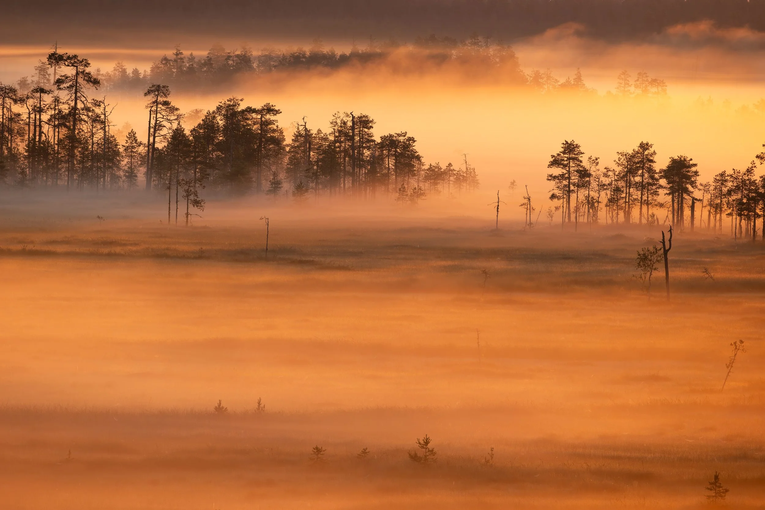 🇫🇮 Kes&auml;&ouml;it&auml; ei pit&auml;isi k&auml;ytt&auml;&auml; nukkumiseen, ainakaan t&auml;llaisina tyynin&auml; hetkin&auml;. Nouseva aurinko kultaa suolta nousevan usvan, k&auml;tkien osan maisemasta ja muuttaen tuttuja n&auml;kymi&auml;. Y&o