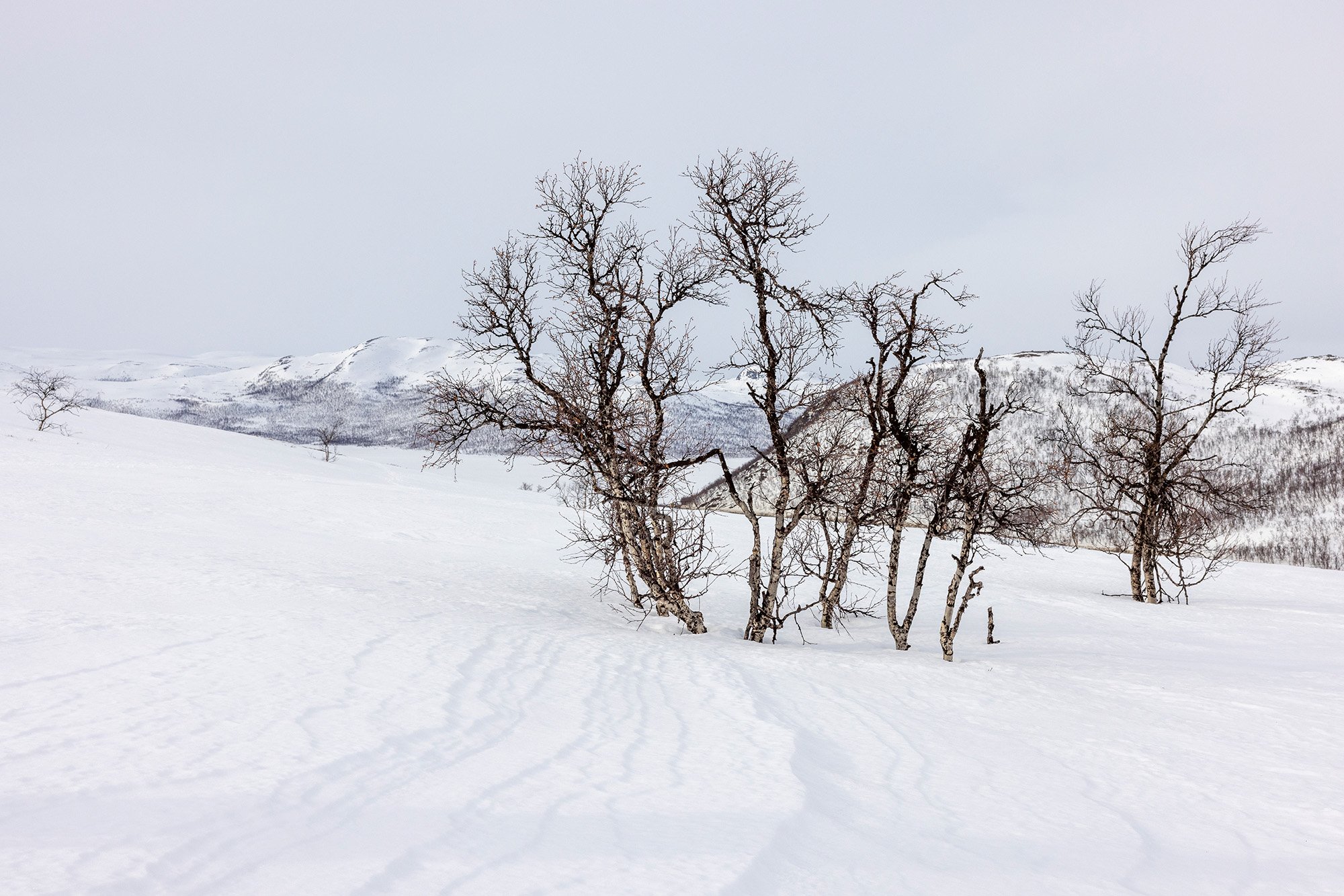 Landscape in Finnish Lapland