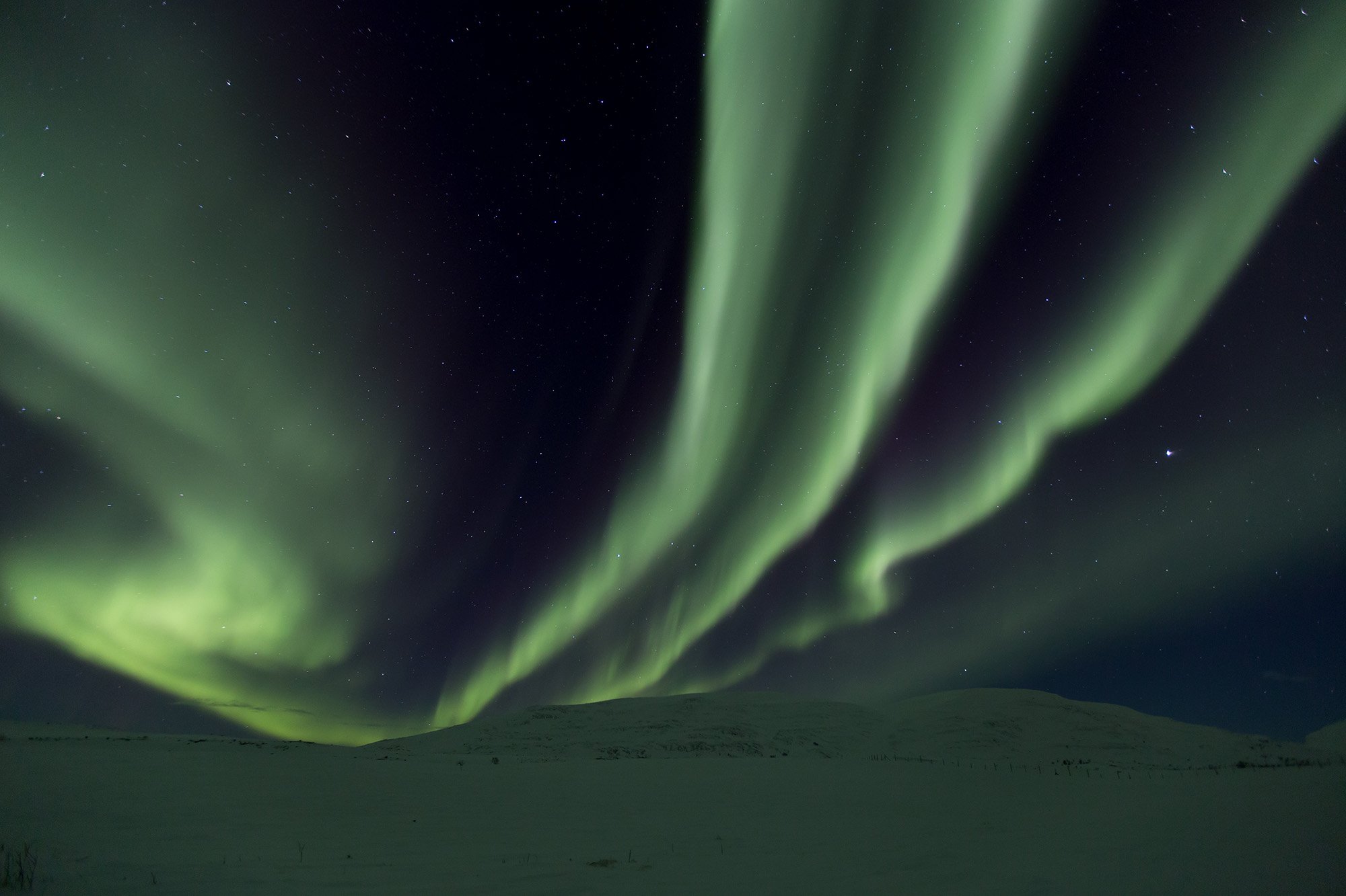 Northern lights