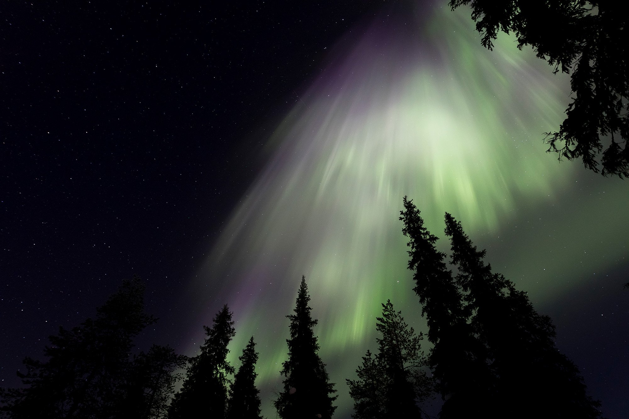 Northern lights