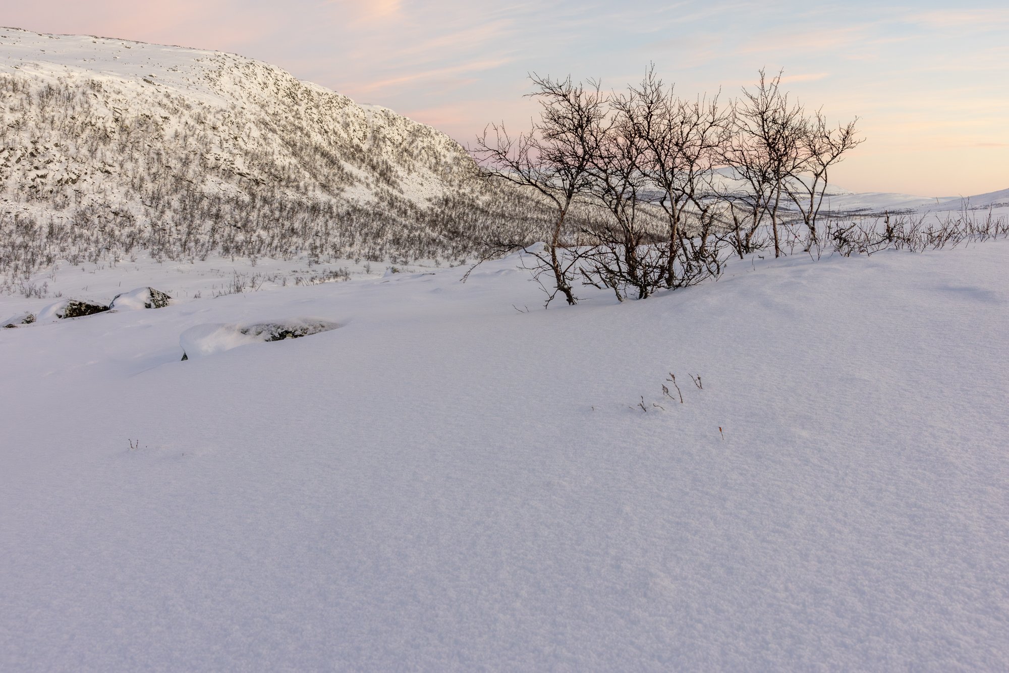 Short winter day