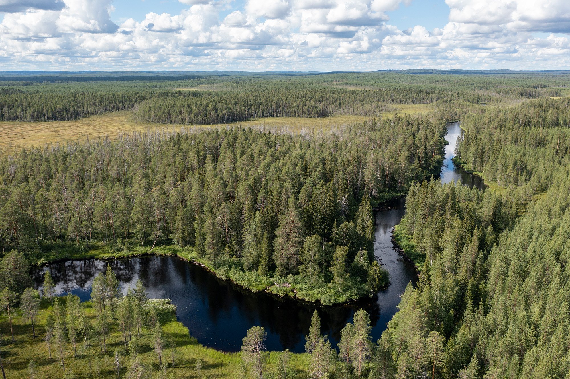 River in the wilderness