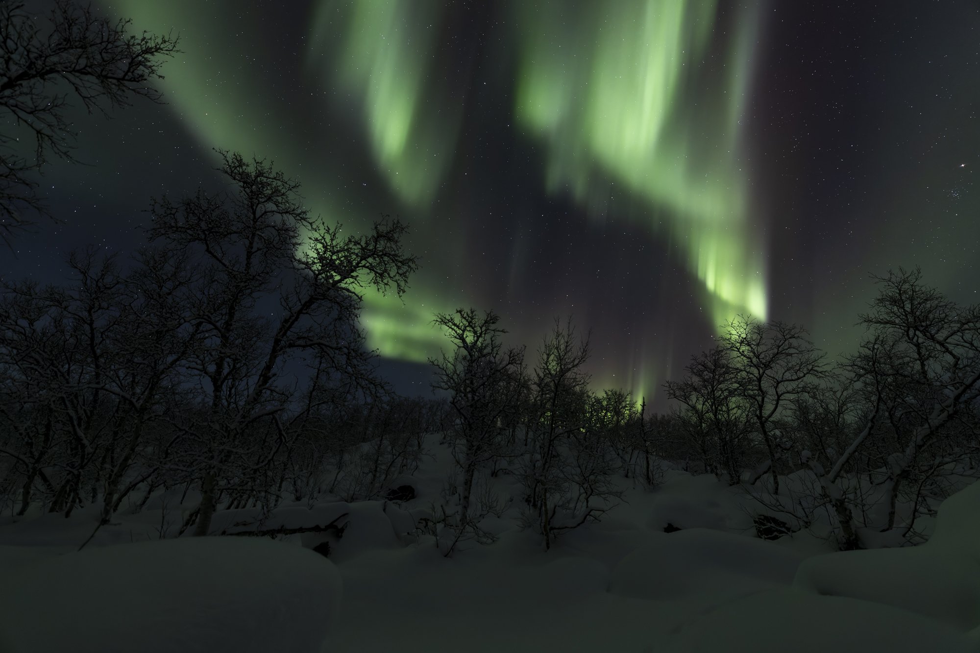 Northern lights
