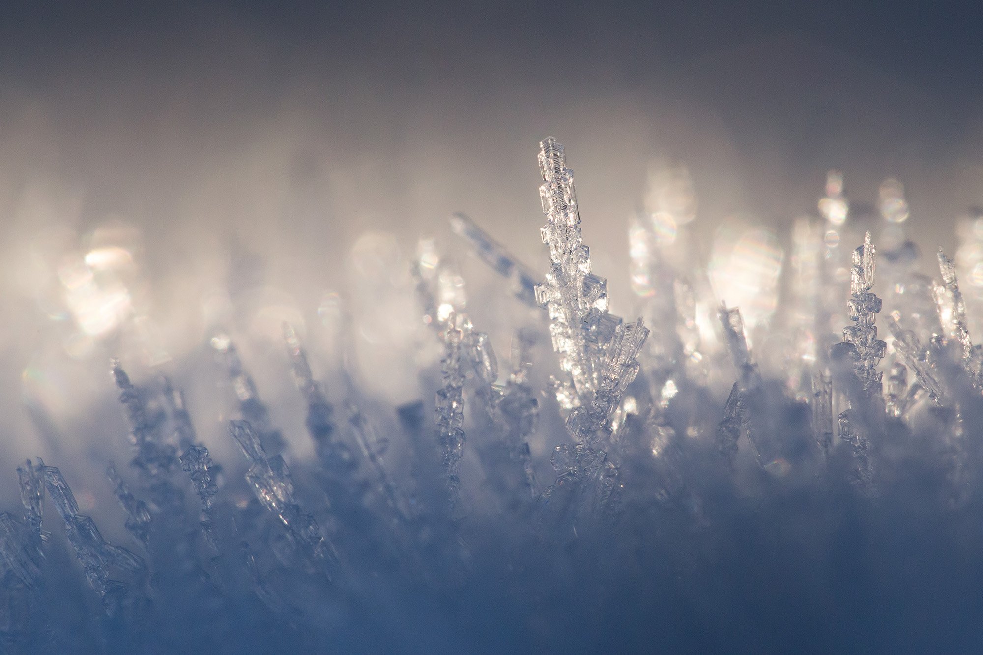 Ice crystals