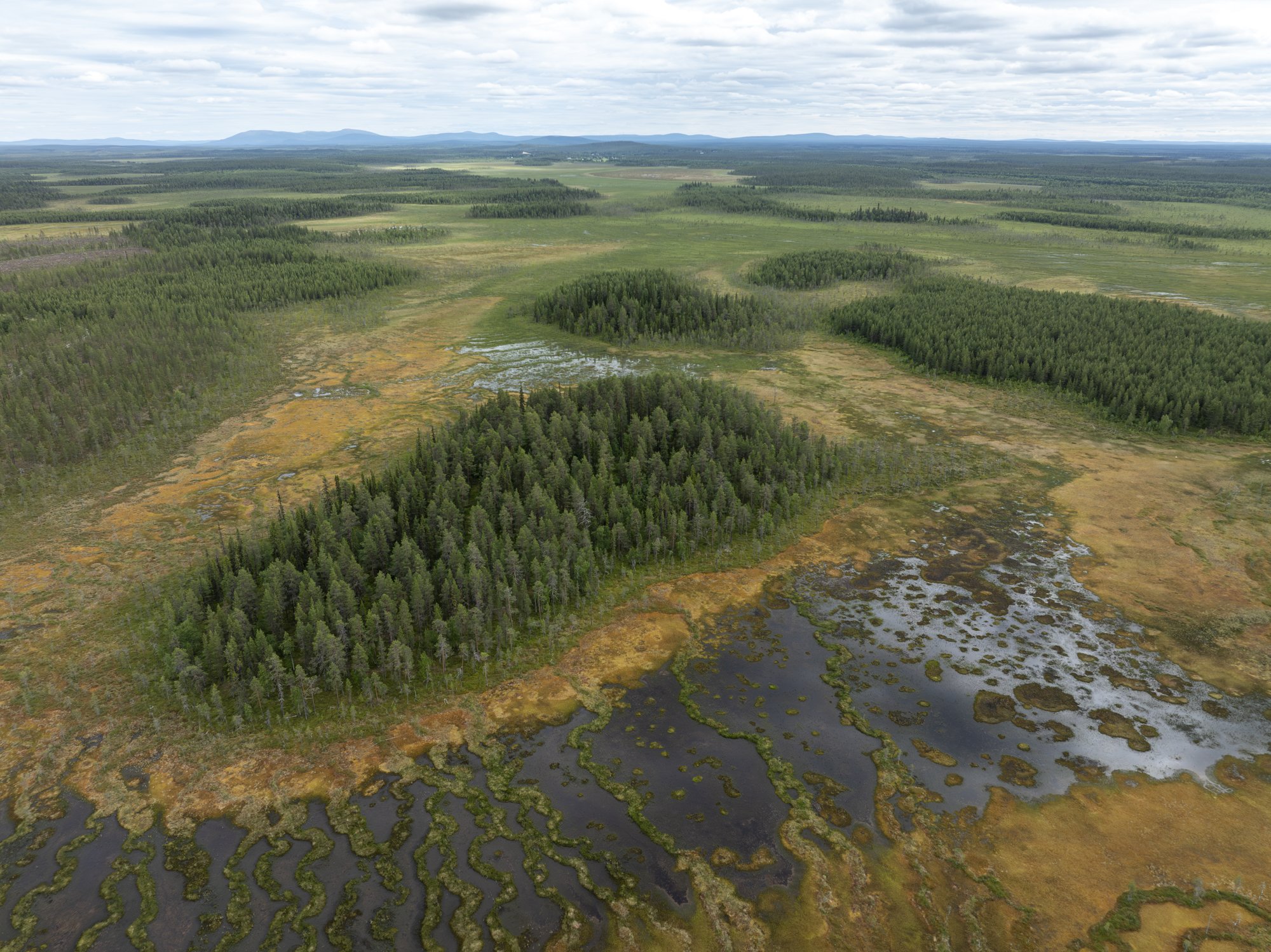 Mosaic of mires and forests