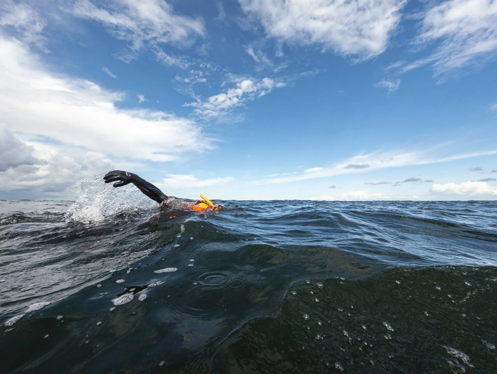 Swimming across the Baltic Sea
