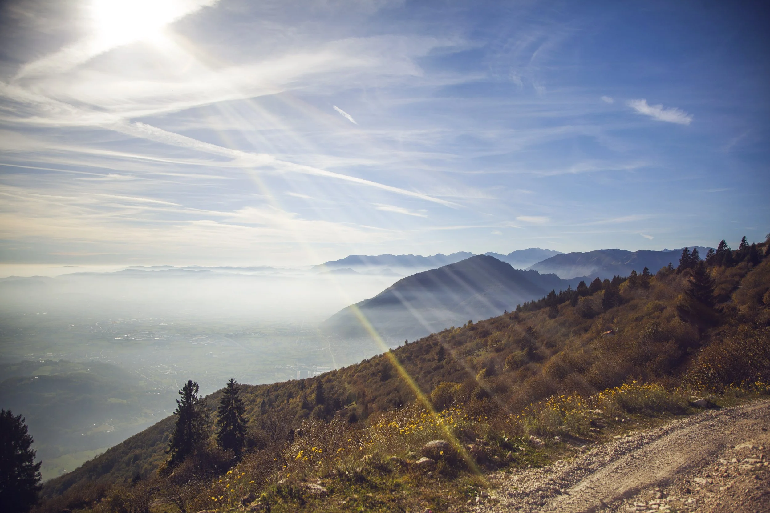 TOP 5 postausta uuteen viikkoon