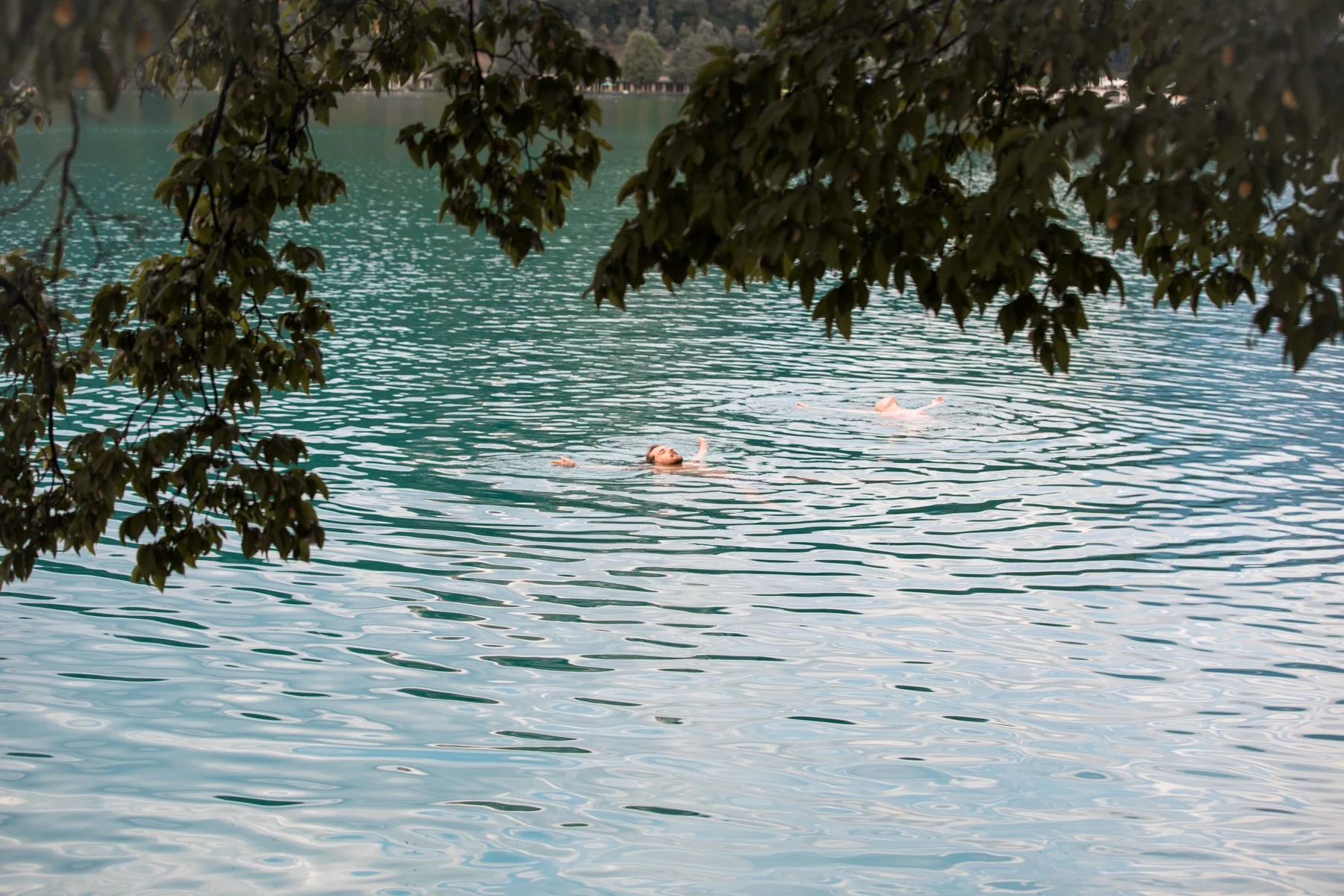 Yksi vuoden upeimmista paikoista: Bled-järvi Sloveniassa