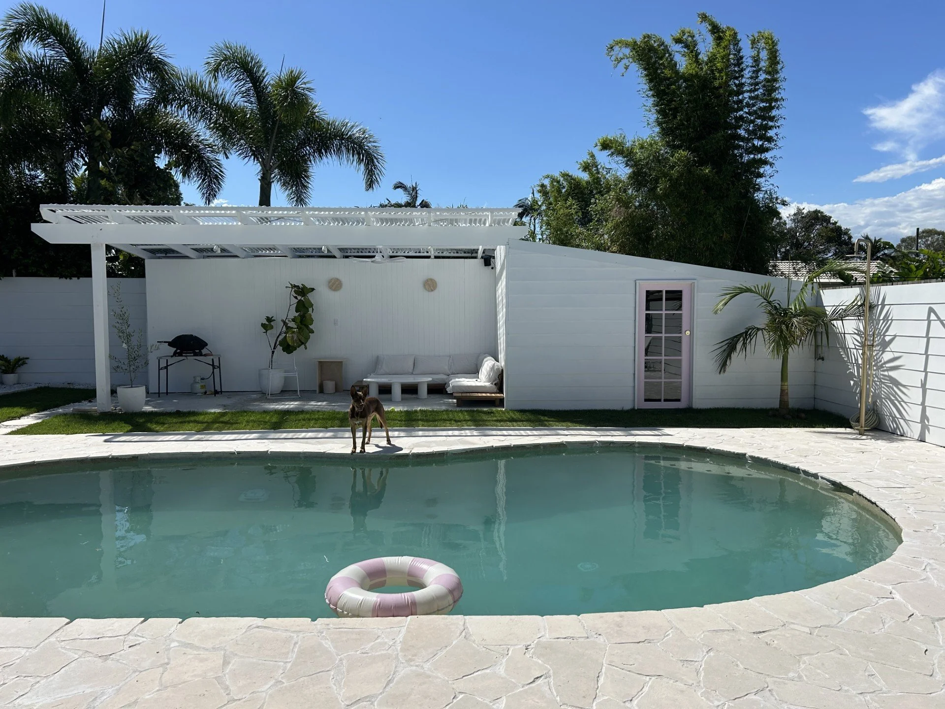 Backyard with a swimming pool, white patio furniture, potted plants, a dog, and a white shed with a purple door, surrounded by trees and a blue sky.