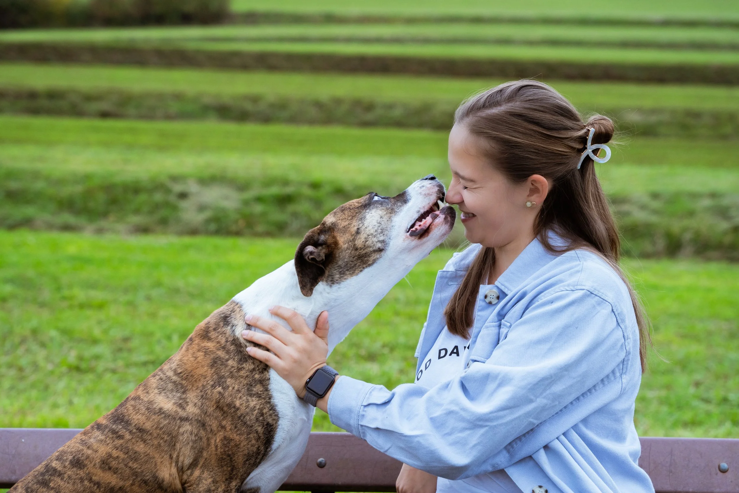 Eine junge Frau mit braunen Haaren, die einen Hund auf einer Parkbank streichelt, während der Hund ihn an der Nase leckt, in einer grünen Parkumgebung.