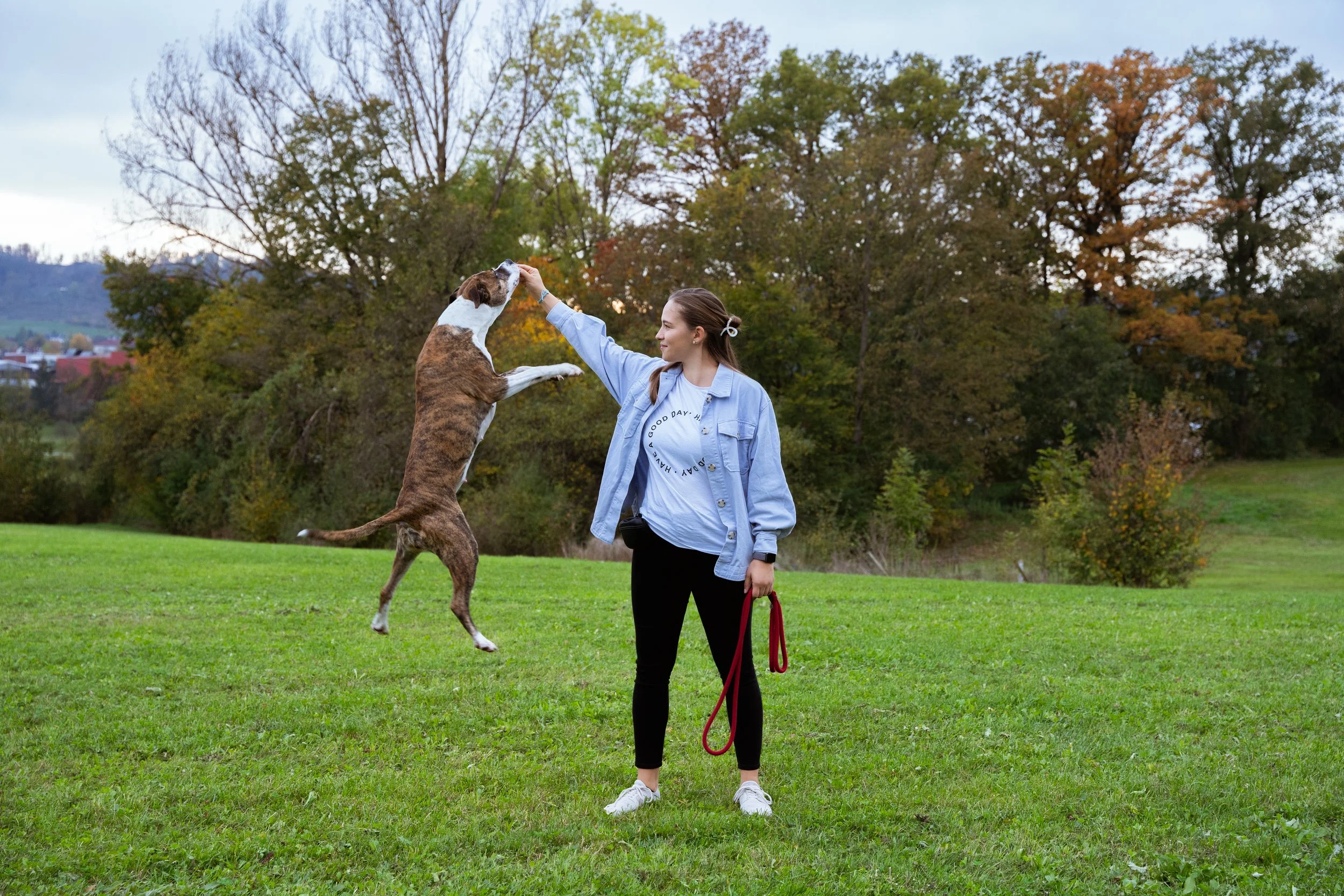 Eine junge Frau spielt mit einem großen Hund im Park. Der Hund springt auf die Frau, während sie es hoch hält. Im Hintergrund sind Bäume mit herbstlichen Blätter und eine sanfte Hügellandschaft.