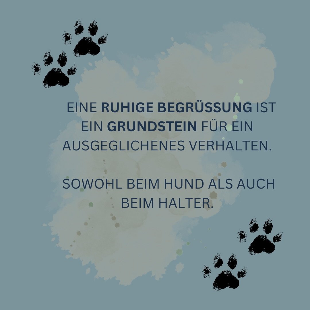Grafik mit Hundepfoten und einem Text, der über Ruhe und Ausgeglichenheit spricht.
