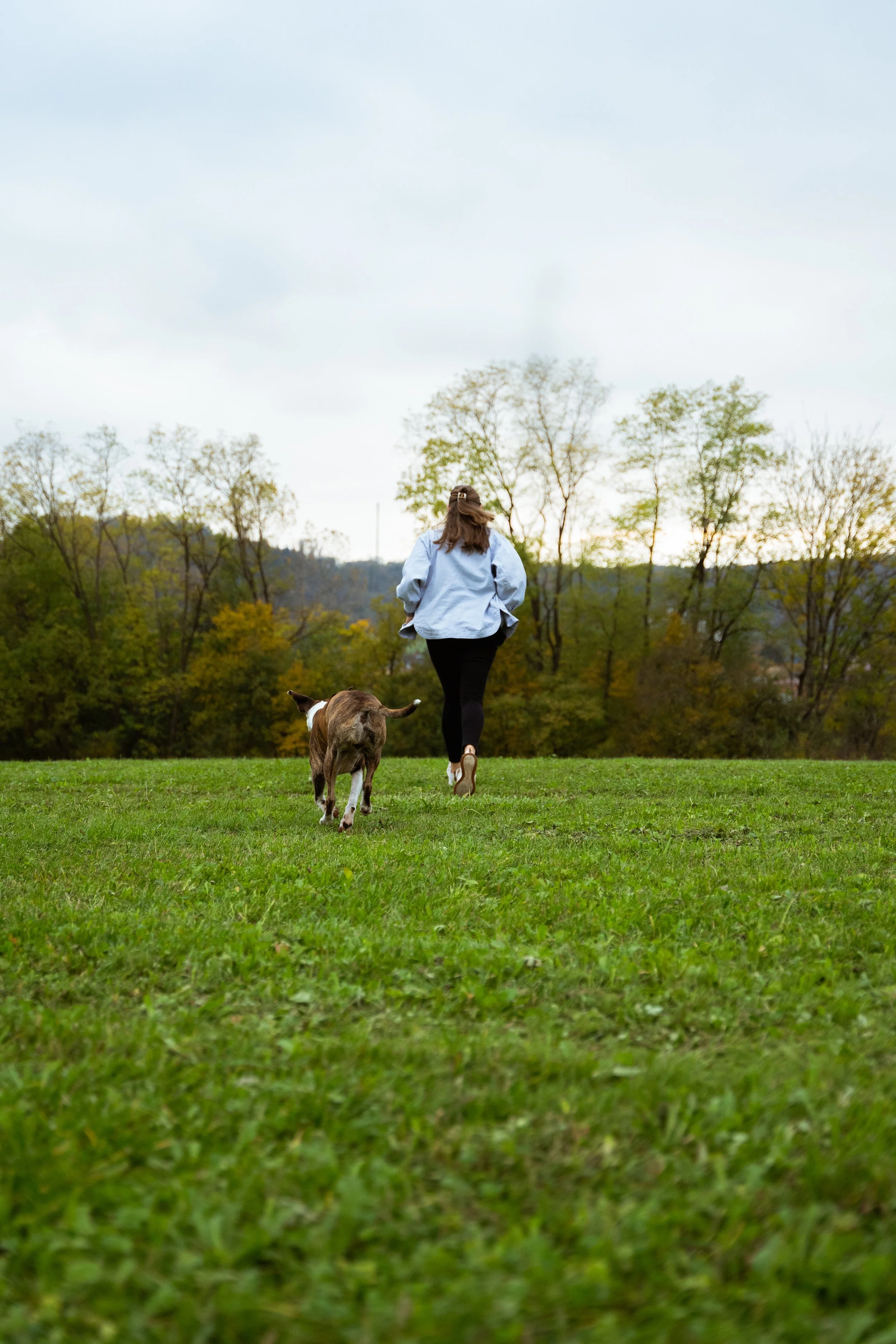 Eine Frau läuft mit ihrem Hund über eine grüne Wiese, mit Bäumen im Hintergrund und bewölktem Himmel.