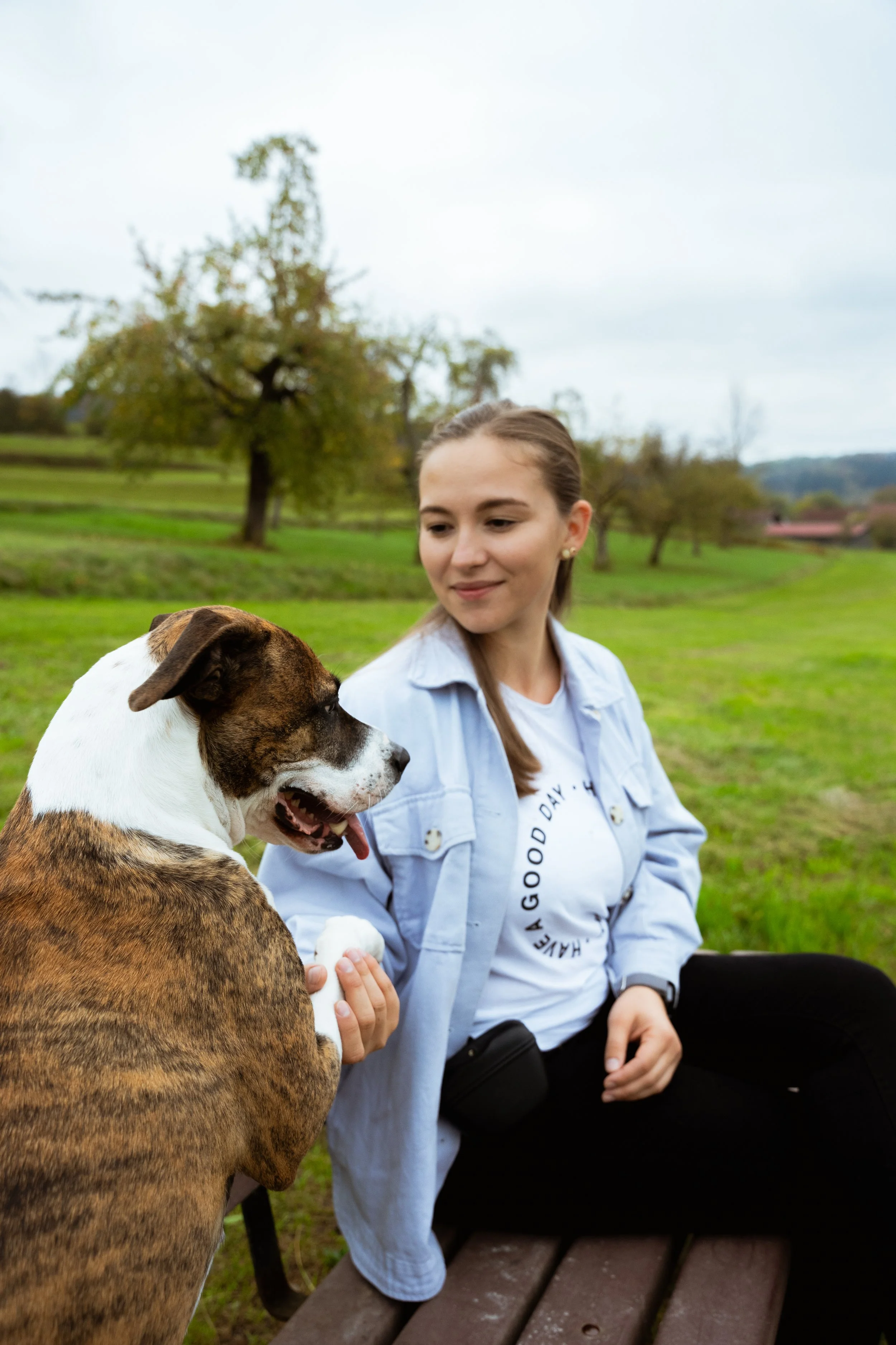 Junge Frau sitzt auf einer Bank im Park, hält einen braun-weißen Hund an der Pfote, umarmt ihn und schaut freundlich auf den Hund, während er sich an sie lehnt.