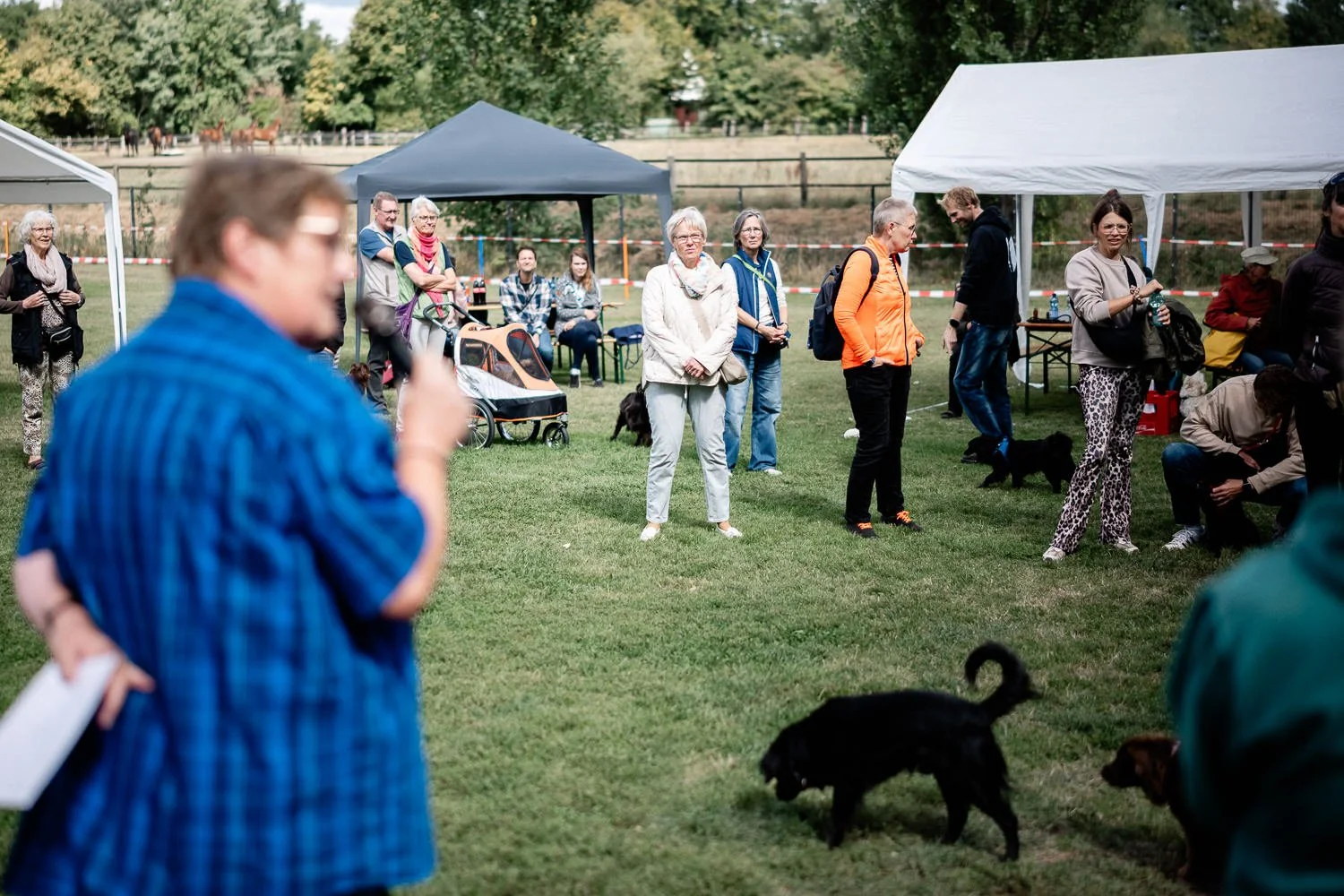 Markiesje-Treffen-Espelkamp-2025-Deutscher-Markiesje-Verein -100.jpg