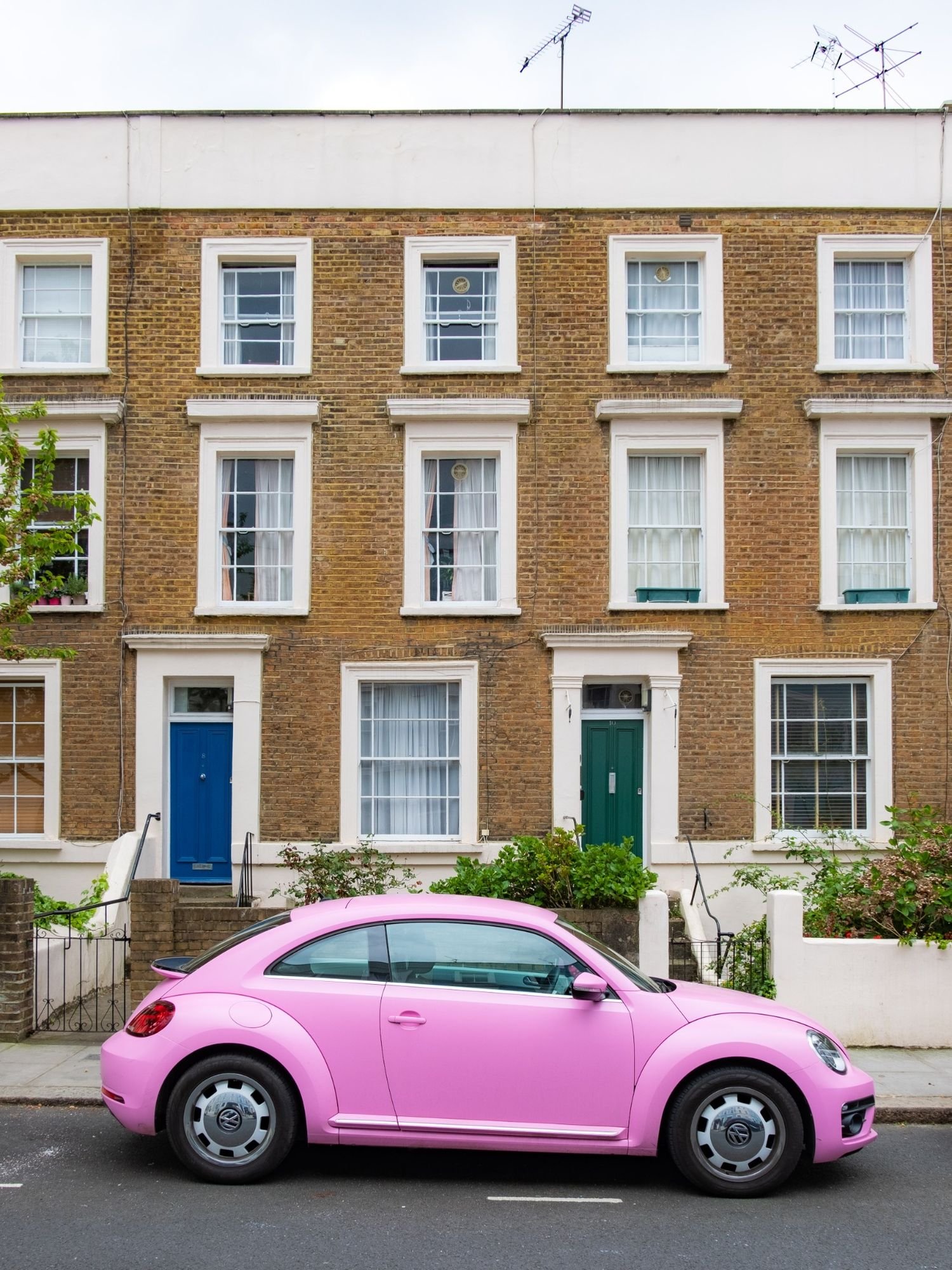 London_Terrace_Pink_Beetle_1500px_Q80.jpg