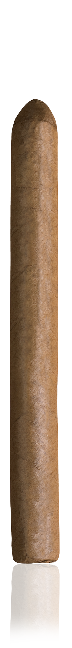 Curly Head
Length: 165mm
Ring: ⌀43
Box of 25s