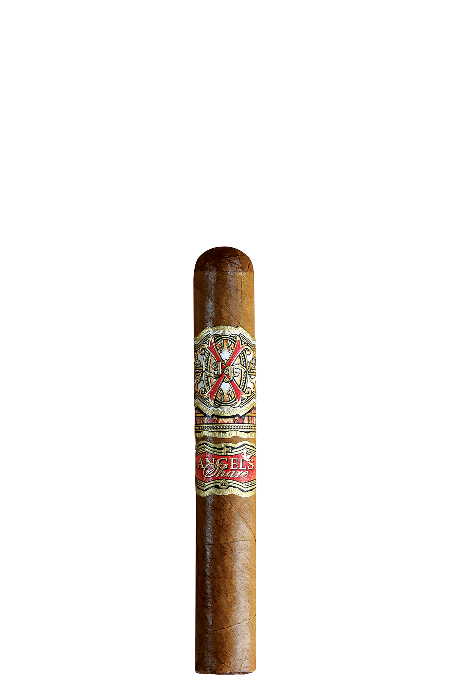 Robusto