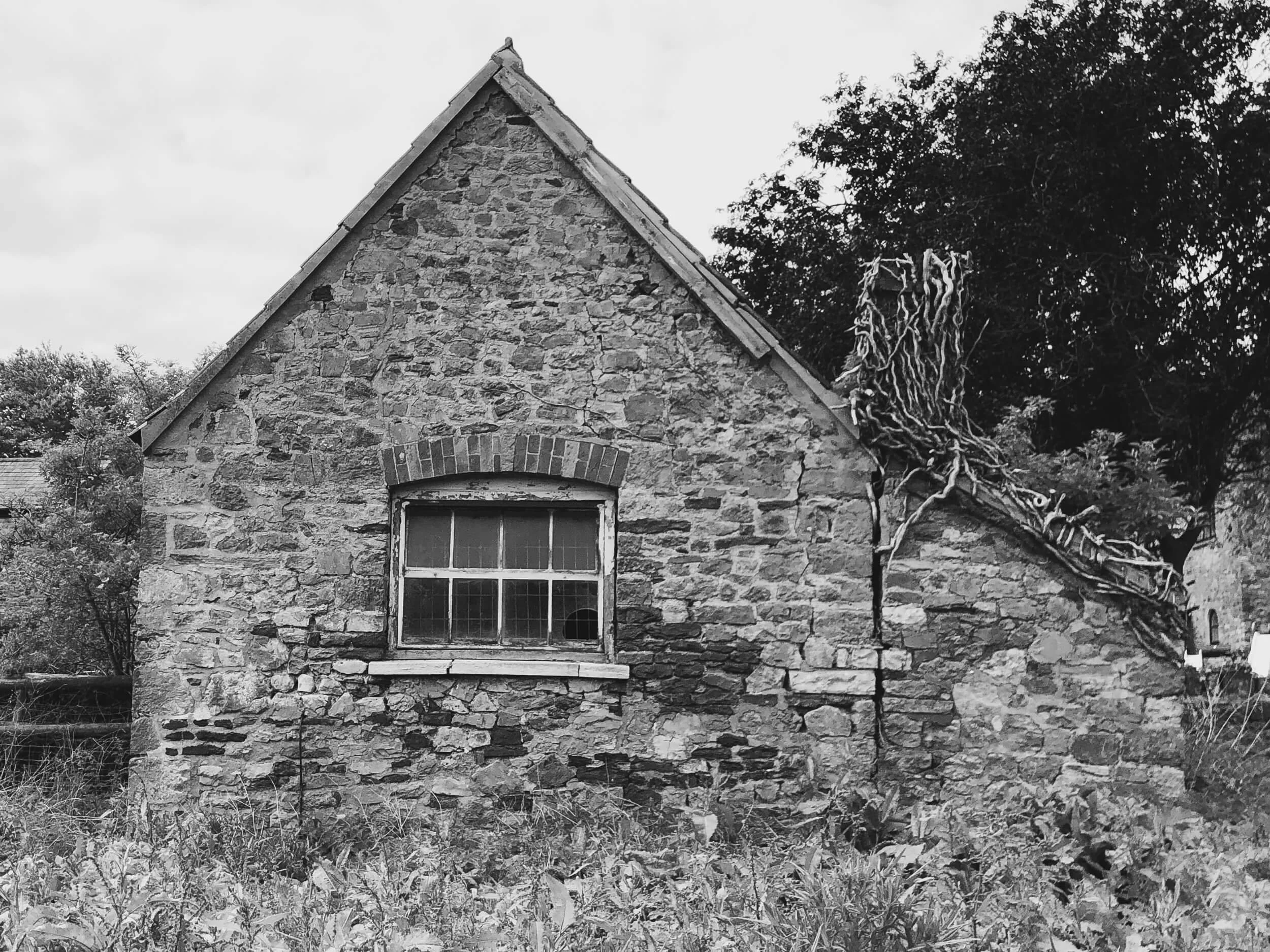 What is a Conservation Engineer and do you need one?