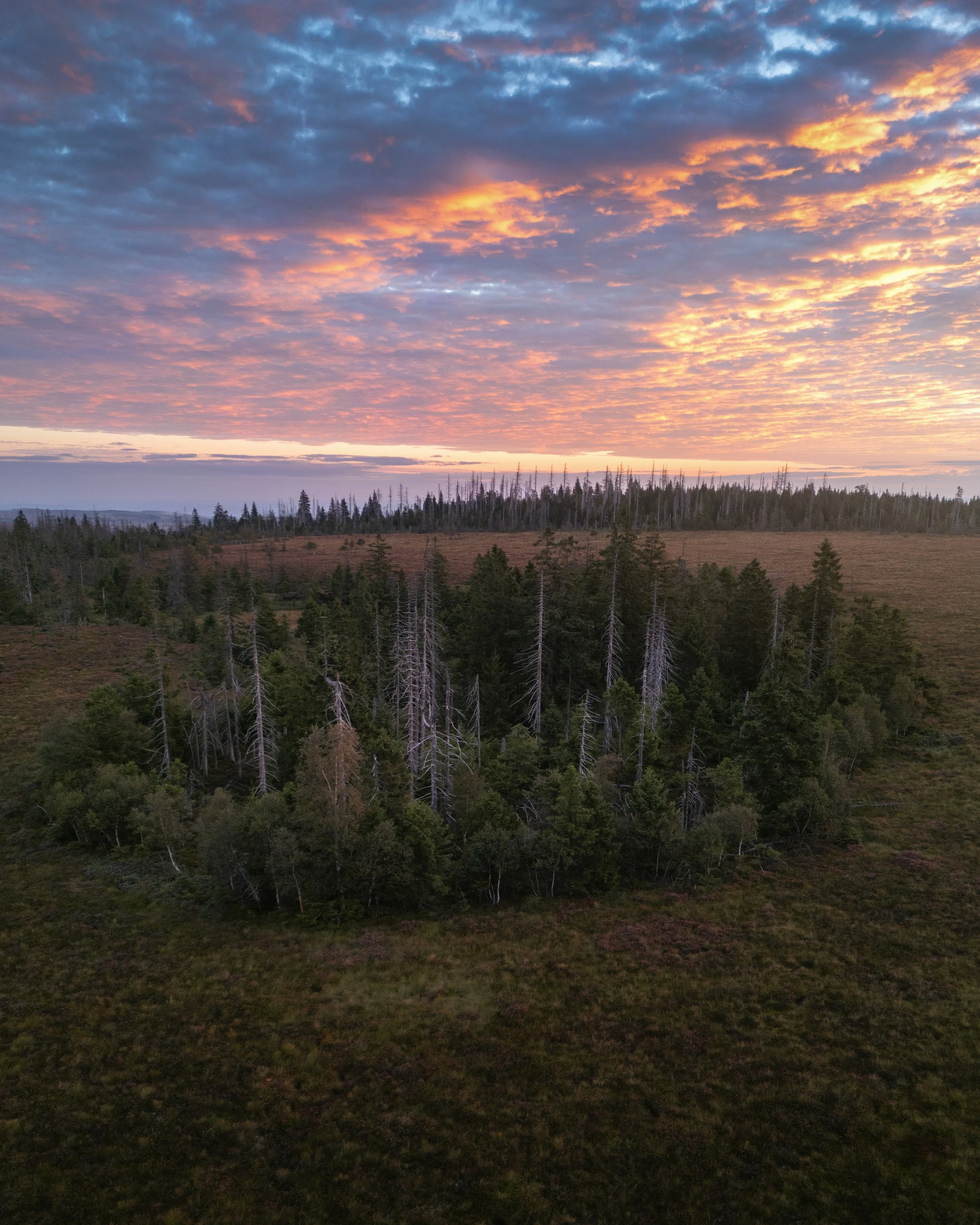 DJI_0033-Edit.jpg