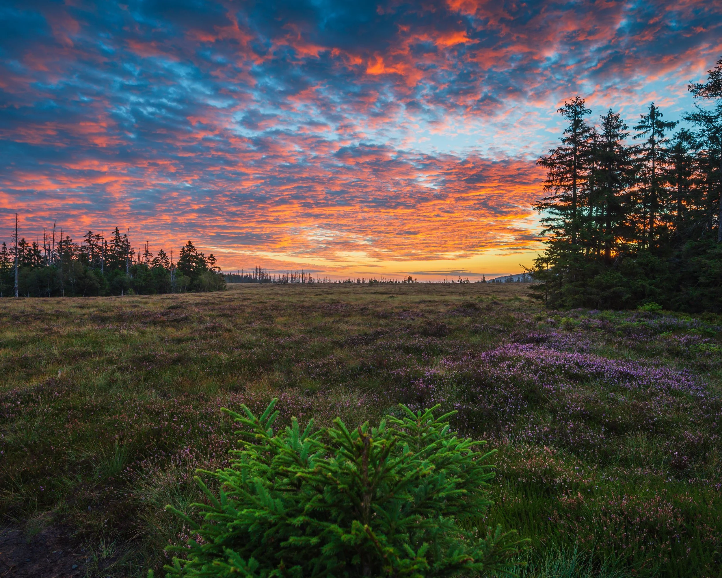 DSC_2362-Edit.jpg