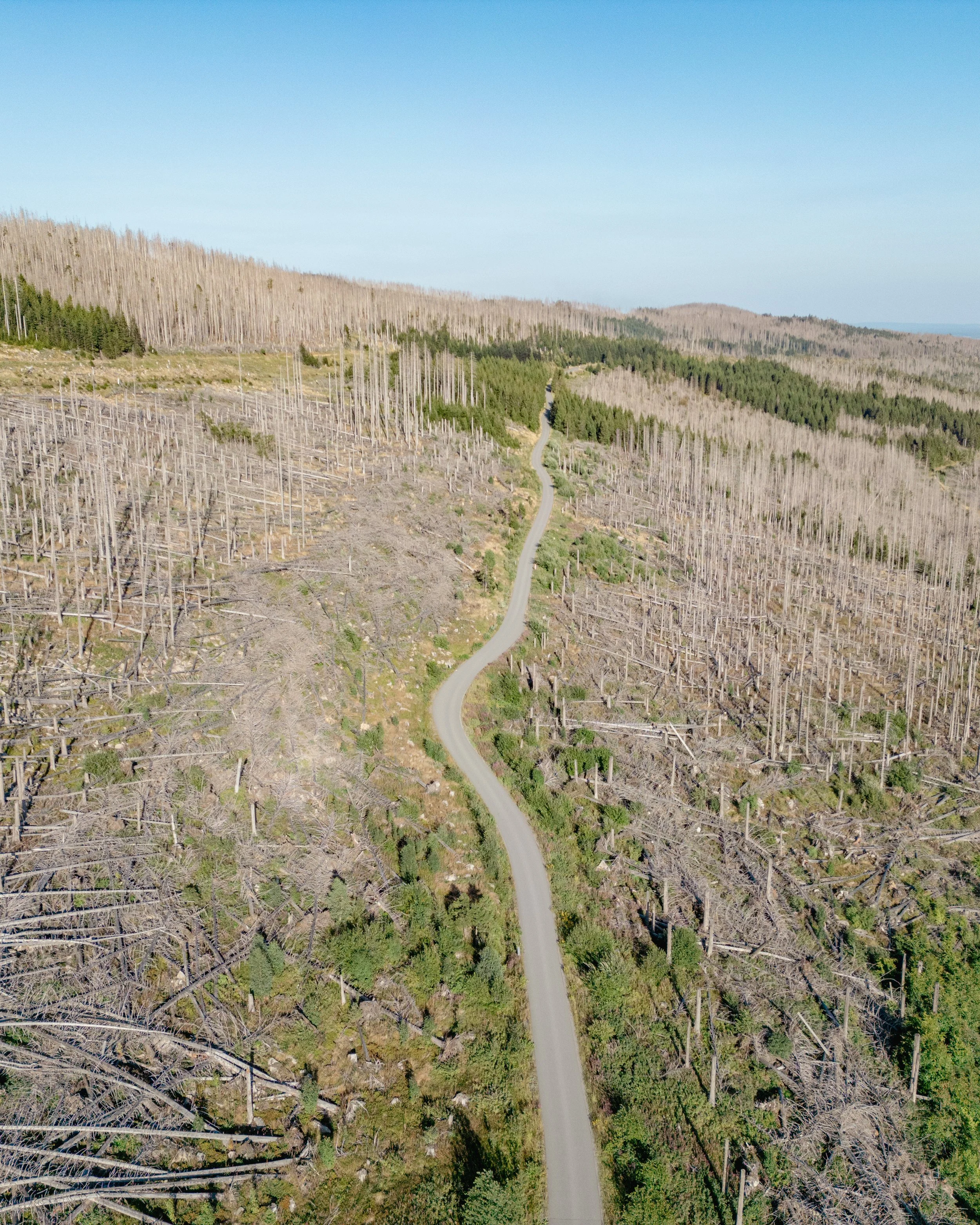 DJI_0038.jpg