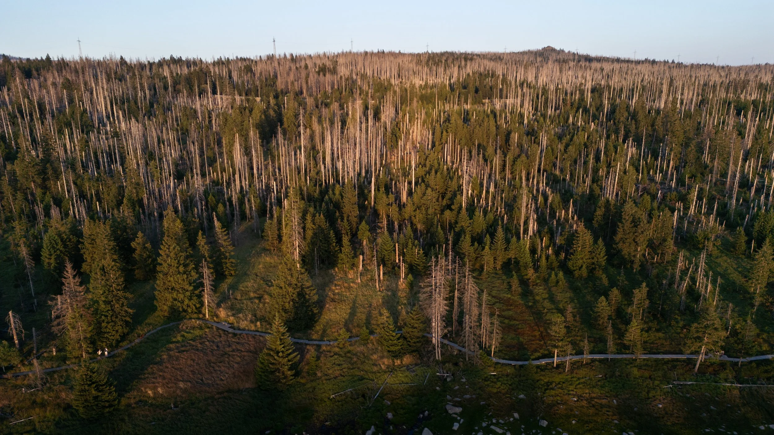 DJI_0054.jpg