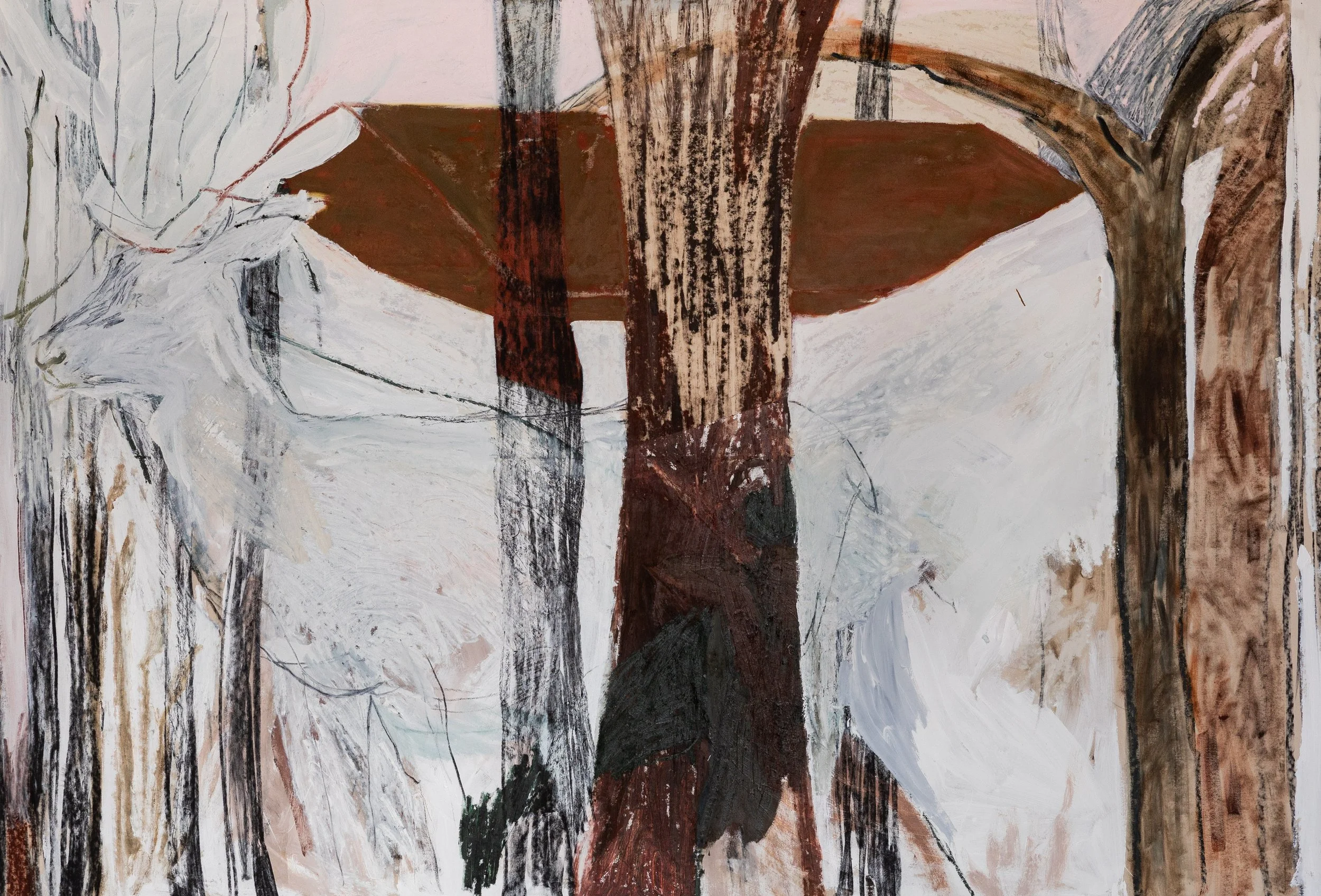 White Stag 

180cm x 240cm oil and charcoal on canvas (2021)