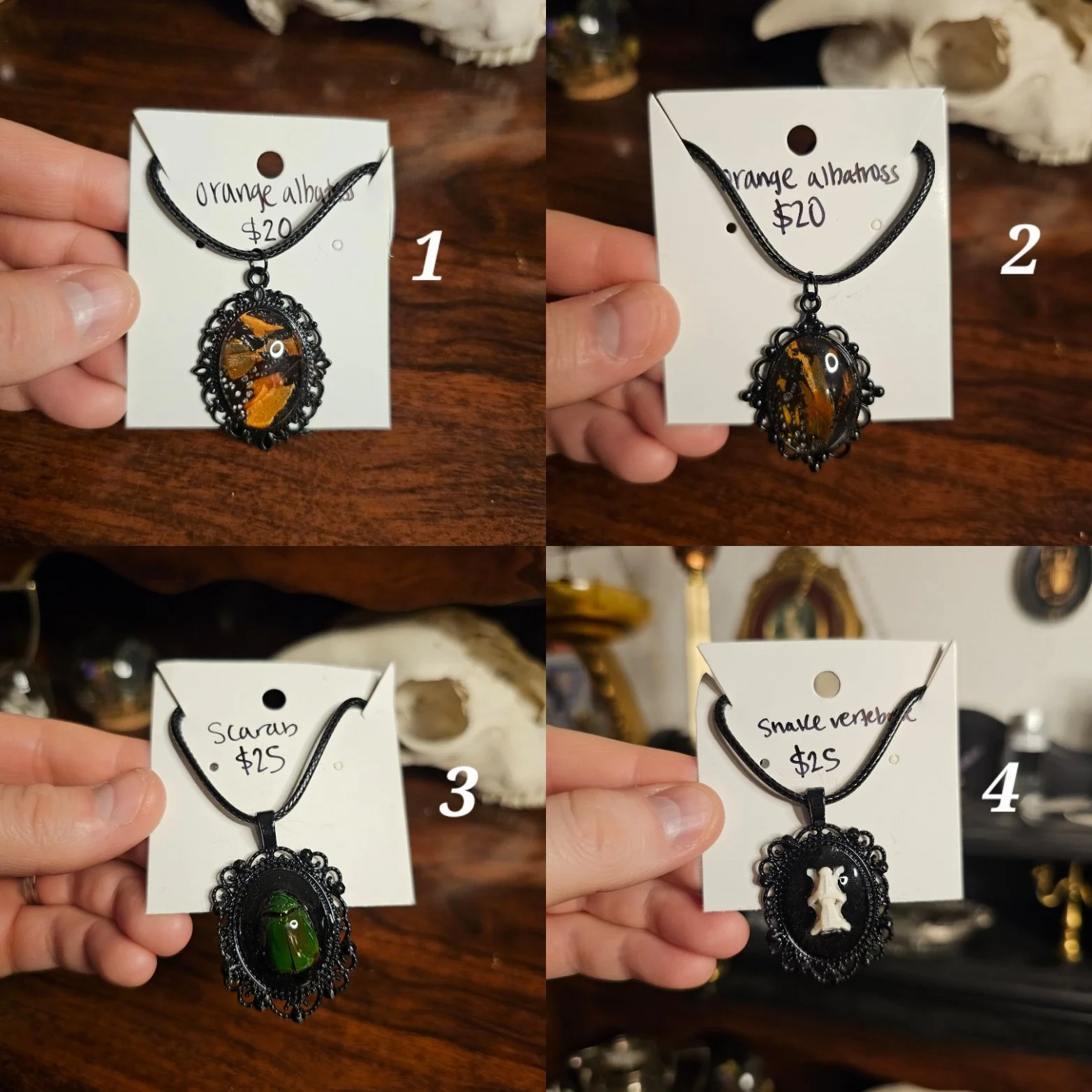 Web/Bug/Bone Necklace