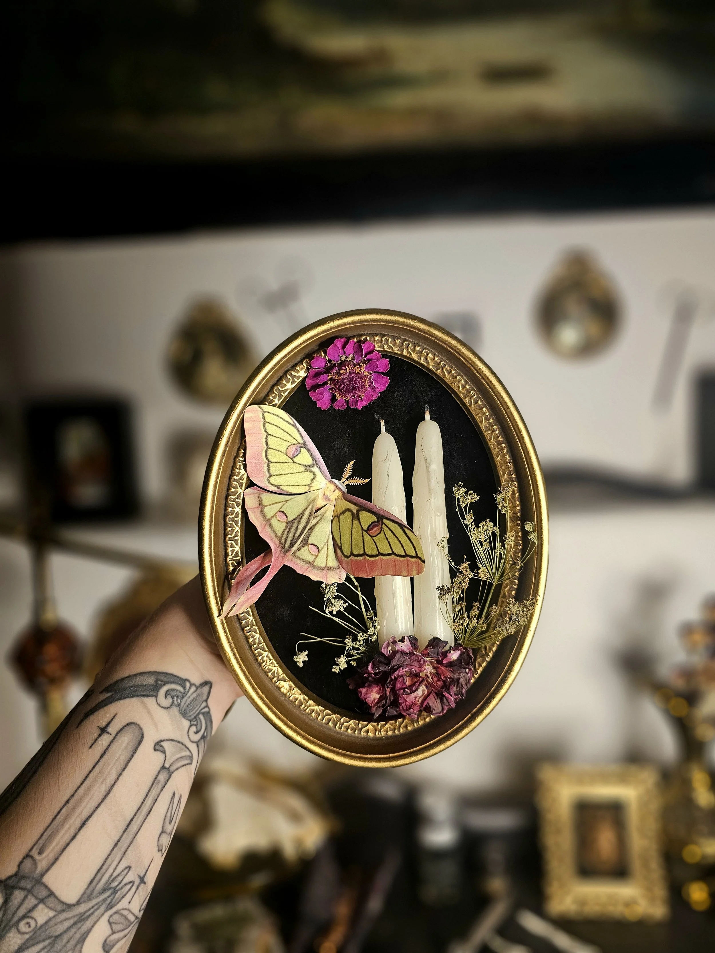 Seance Faux Moth