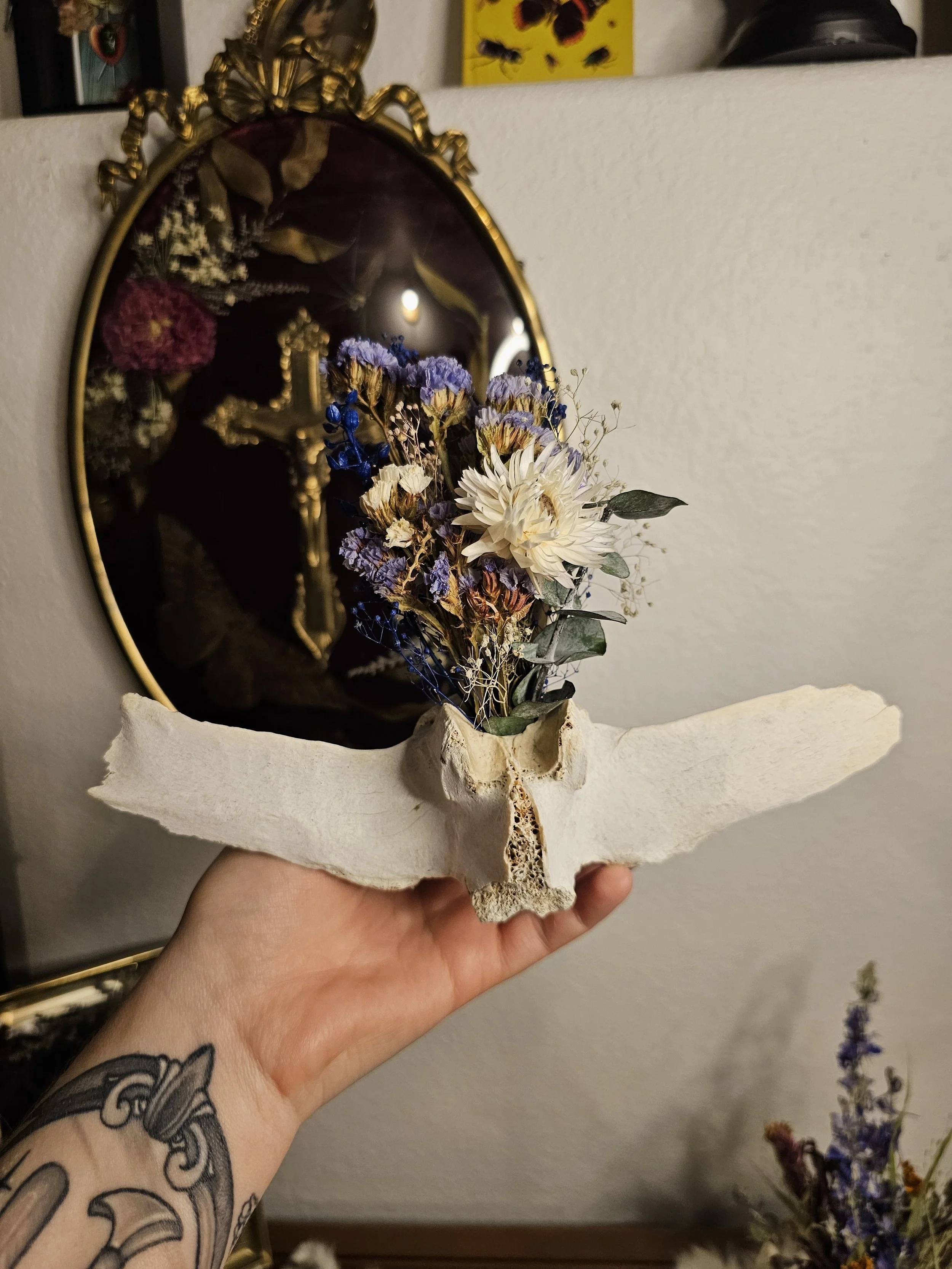 Deer Vertebrae Bouquet 1