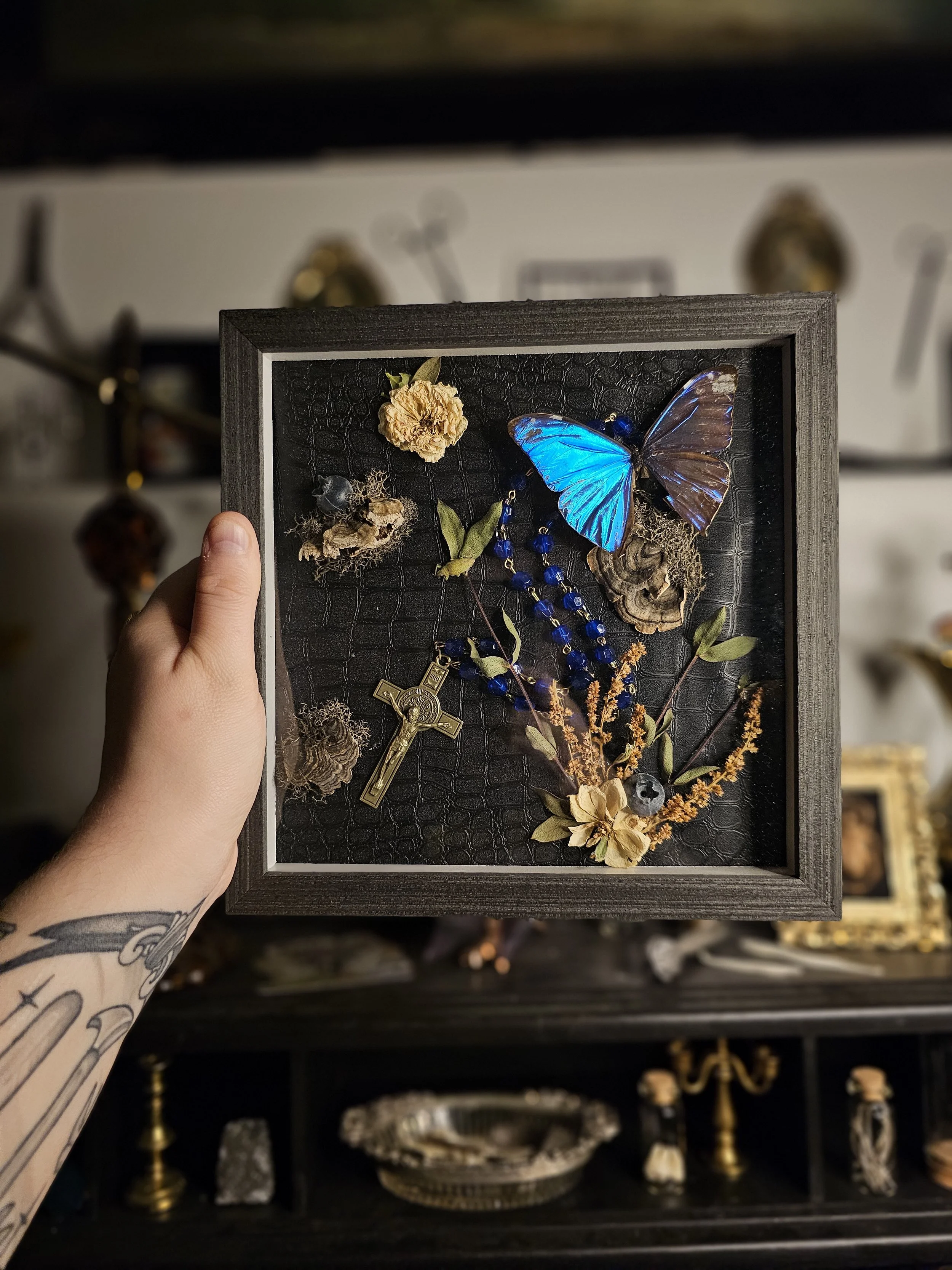 Morpho + Rosary