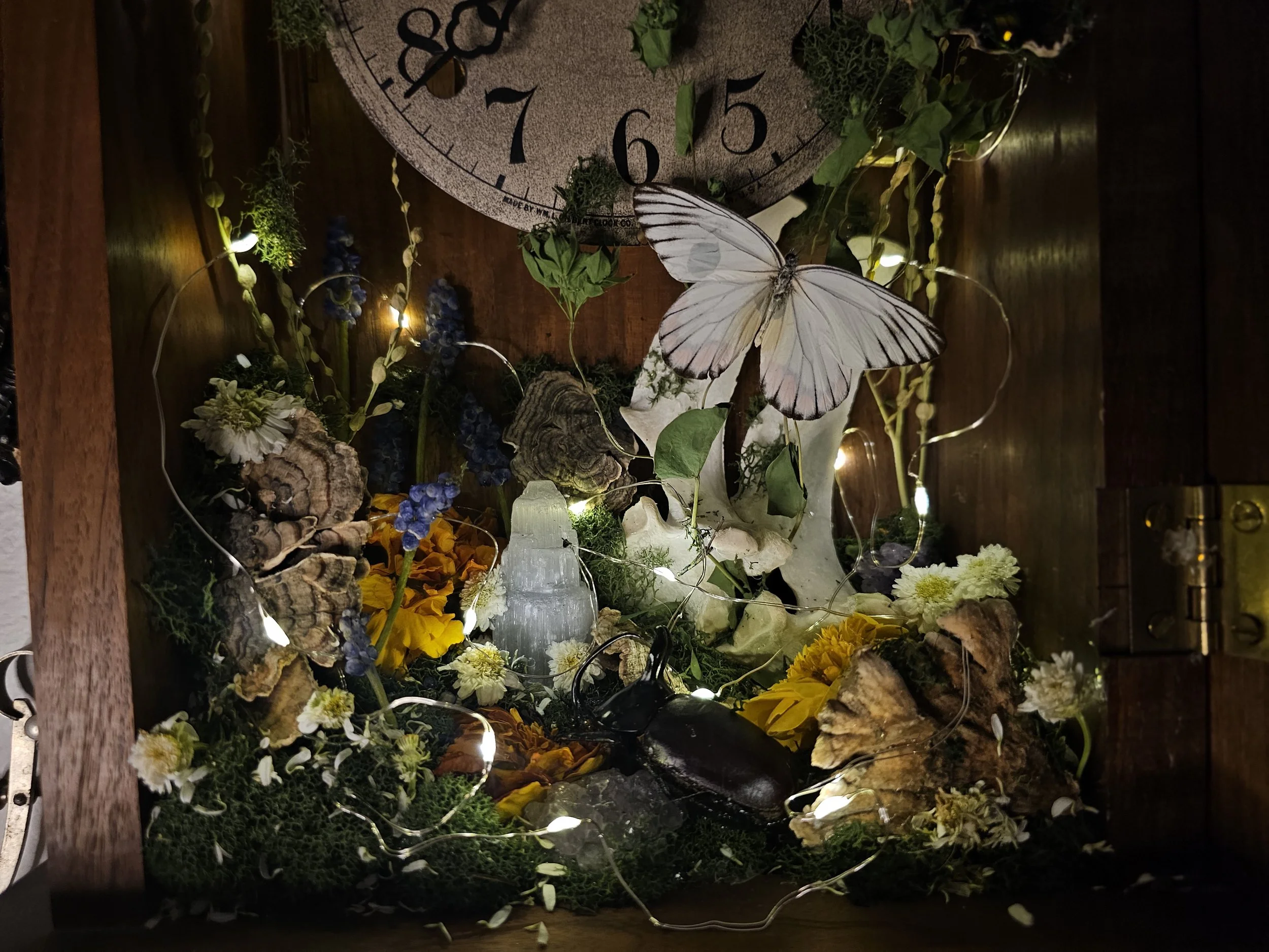 20250831_201157.jpg