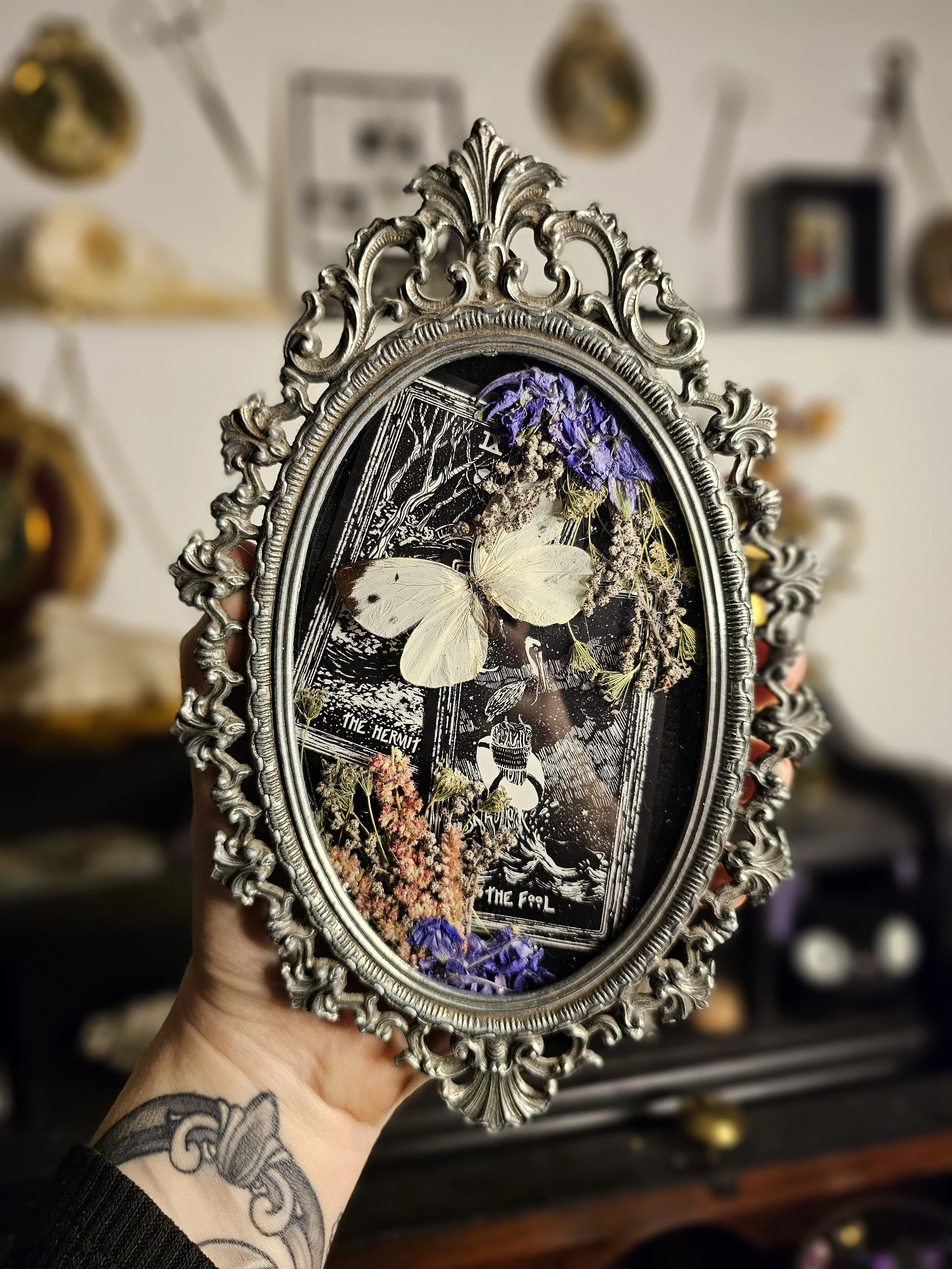 The Fool, The Hermit