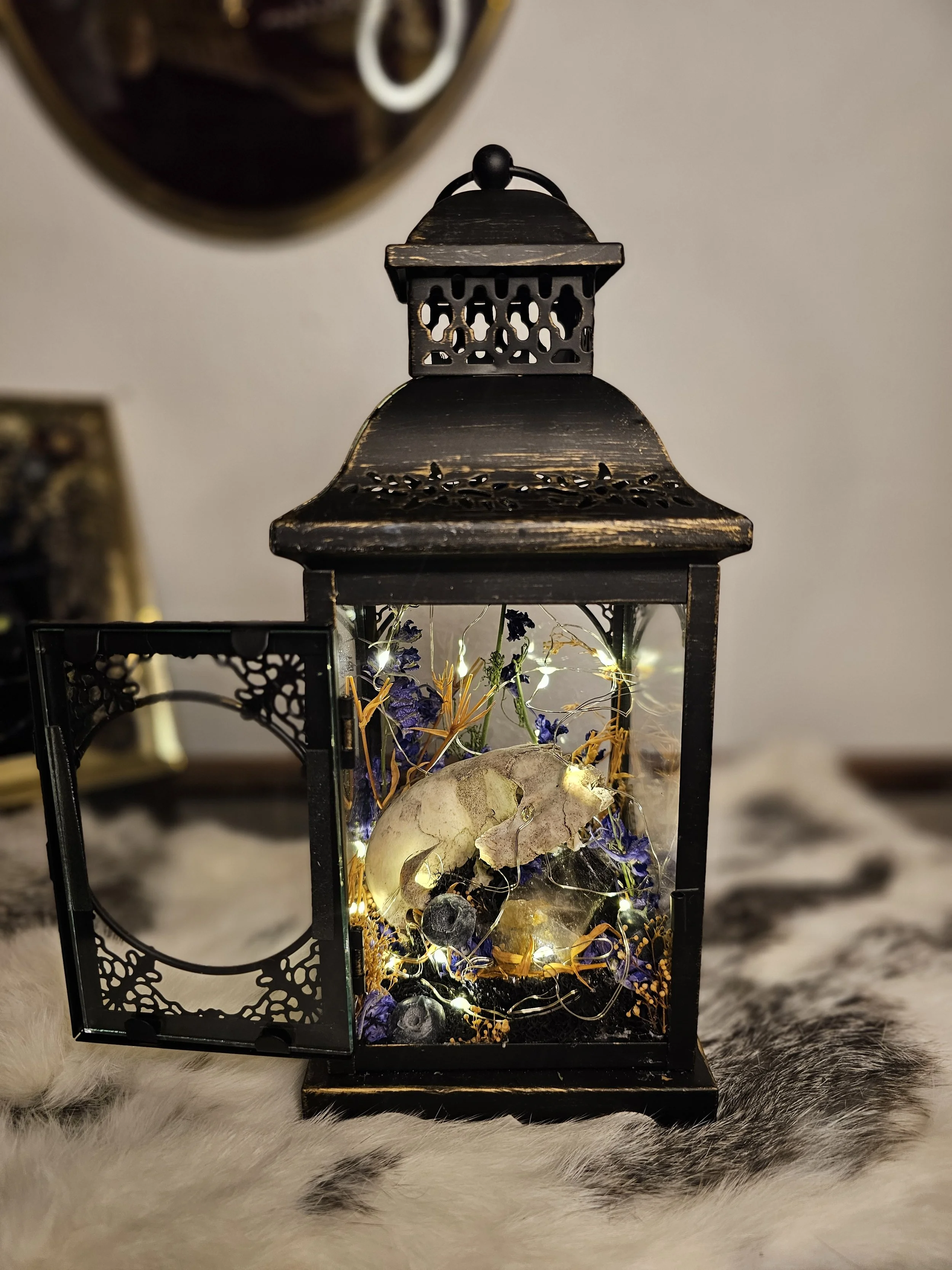 Cat Skull Lantern
